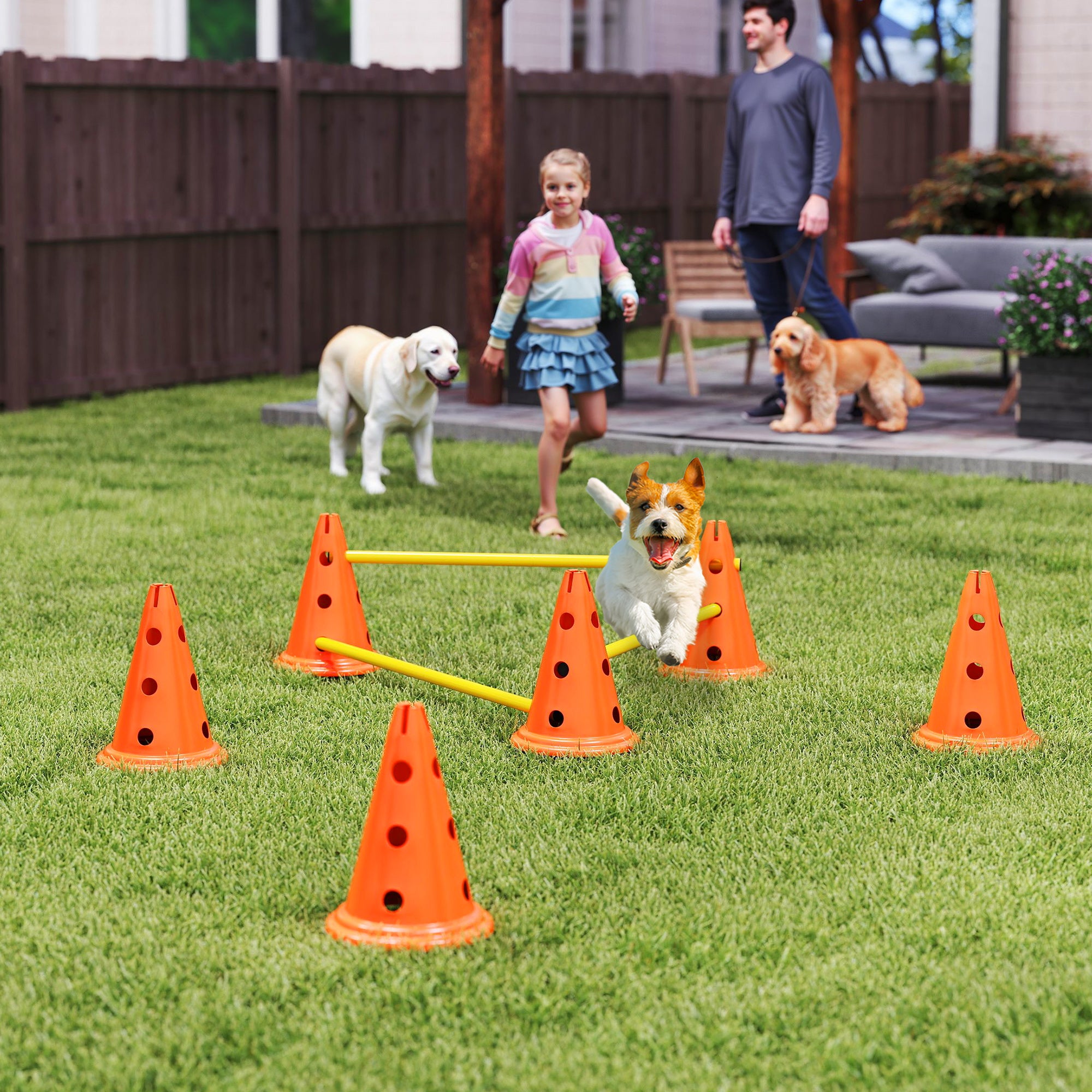 3-Piece Dog Agility Set with 6 Cones, 3 Adjustable Hurdles & Carry Bag
