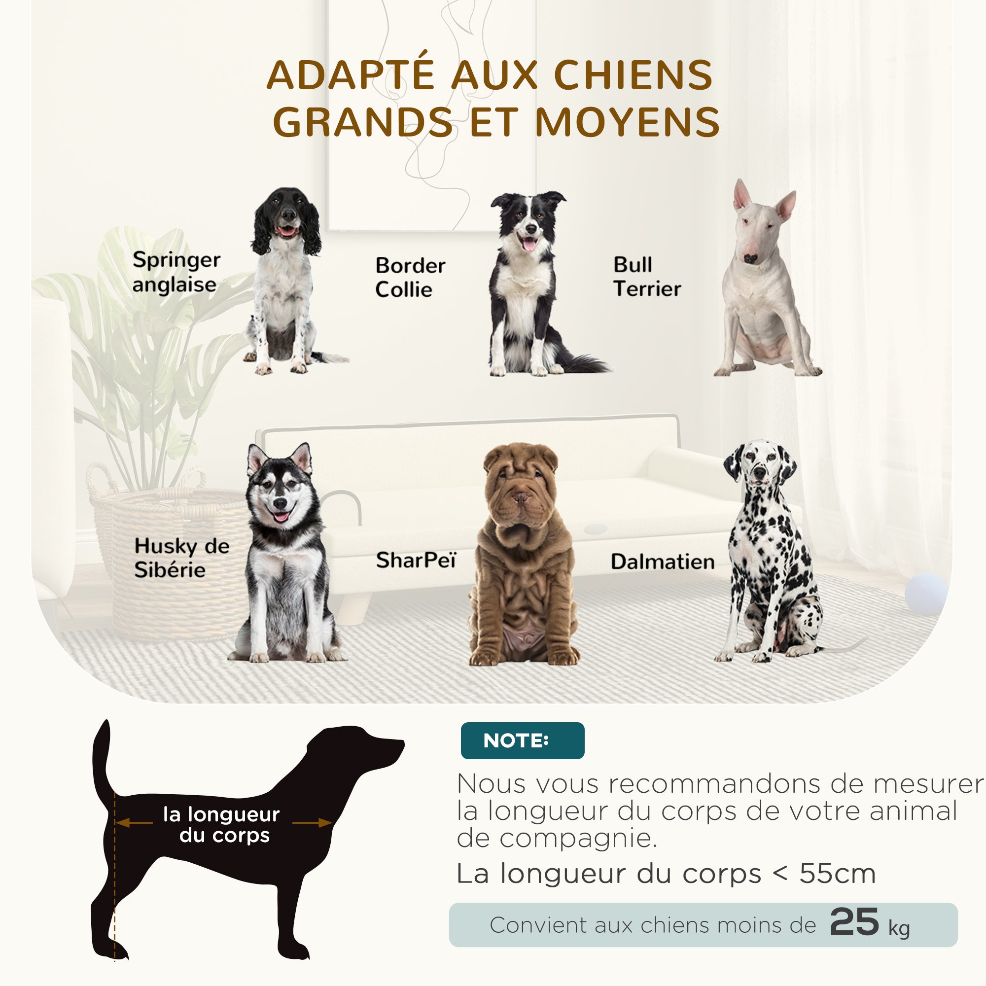 Scandinavian Design Sofa Bed for Dogs and Cats with Fluffy Removable Cushion Solid Wood Legs 100 x 62 x 32 cm Beige