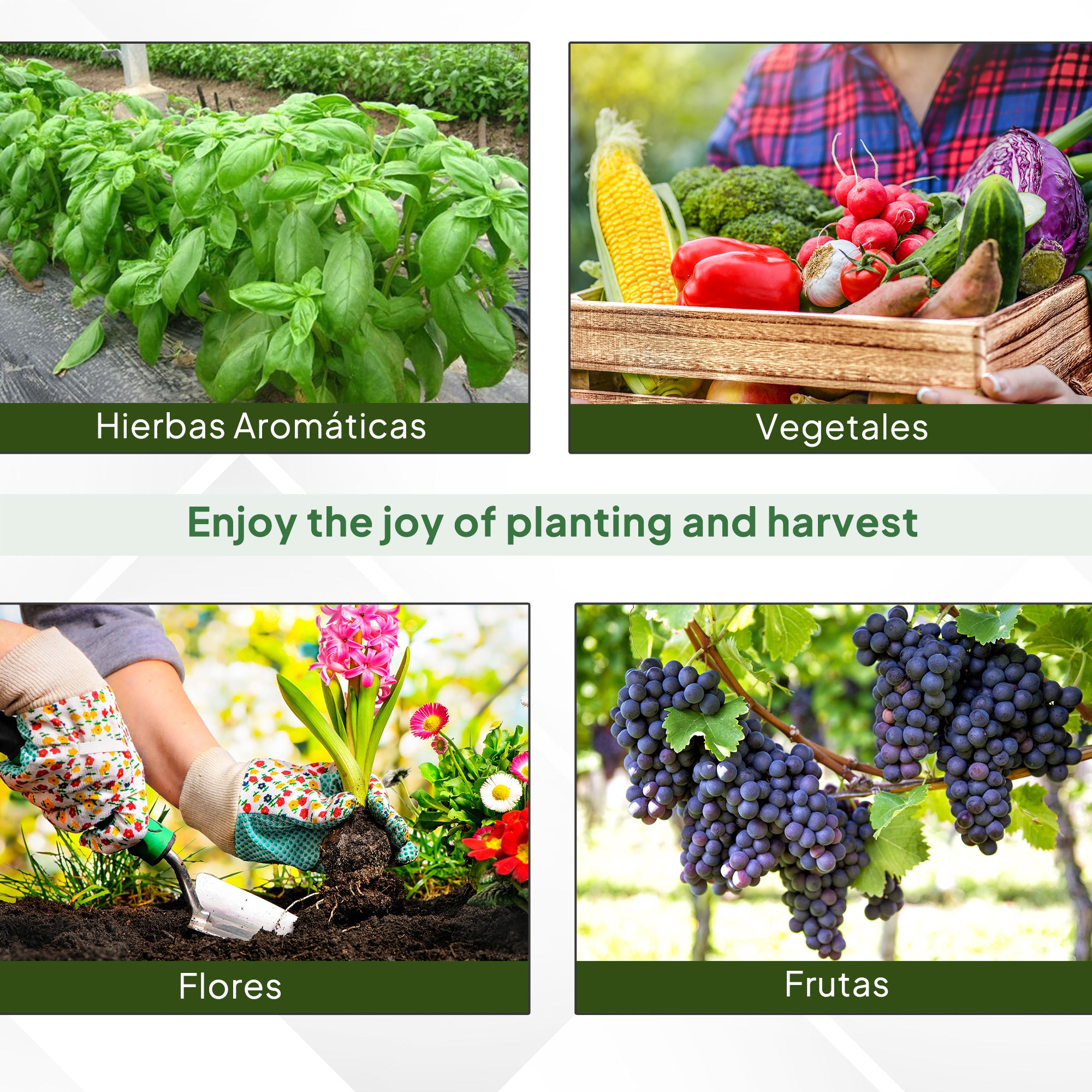 Outdoor Tunnel Greenhouse 8x3x2 m Garden Greenhouse with 12 Windows and Roll-Up Door for Growing Plants Tomatoes Vegetables Steel and PE 140 g/m² White