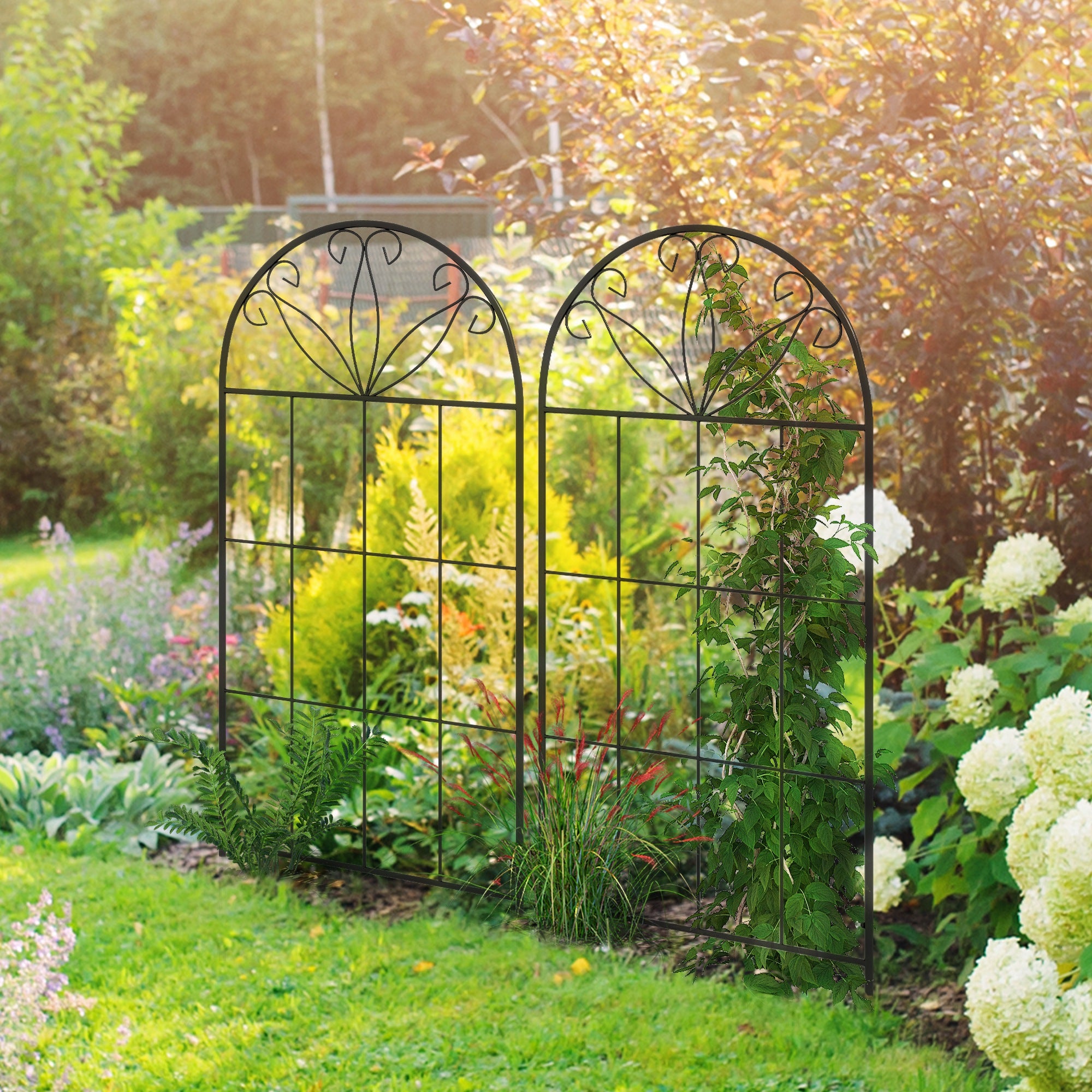 Set of 2 Garden Trellises for Climbing Plants - Metal, 51 x 120 cm, Black