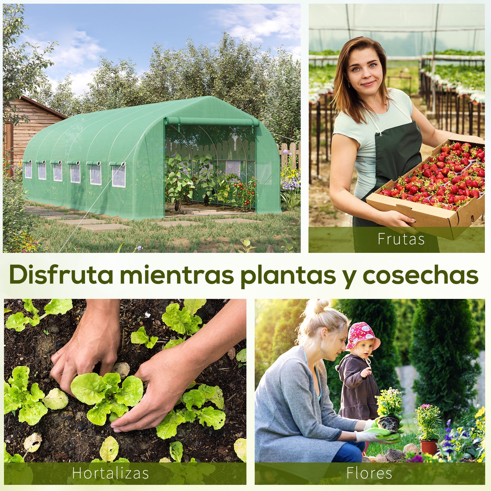 Outdoor Greenhouse Tunnel Greenhouse 6x3x2 m Large Garden Greenhouse with 12 Windows and Roll-Up Zipper Door Macro Metal Structure for Plant Cultivation Green