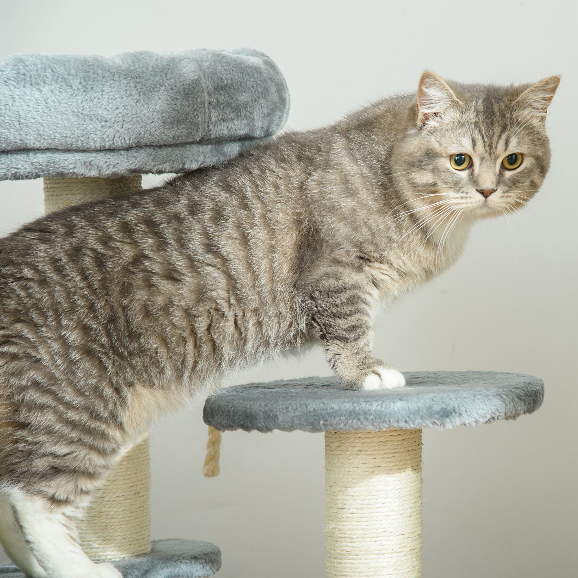 Cat Tree Climbing Tree with Hammock, 3-Tier Play Tree with Cat Bed Cat Scratching Post with Sitting Platform, Sisal Columns, Gray Ø40 x H65 cm