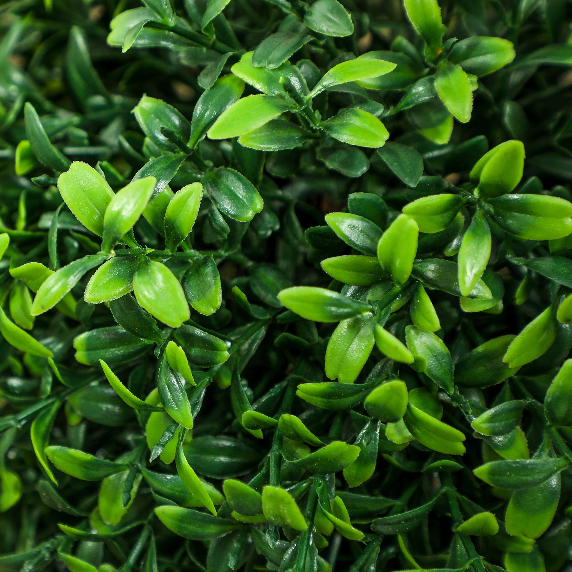 Artificial Boxwood 2-Piece Set Large 91.6 cm Artificial Plants in Pot, Artificial Plant, Boxwood Realistic Artificial Tree with UV Protection for Living Room Garden Balcony