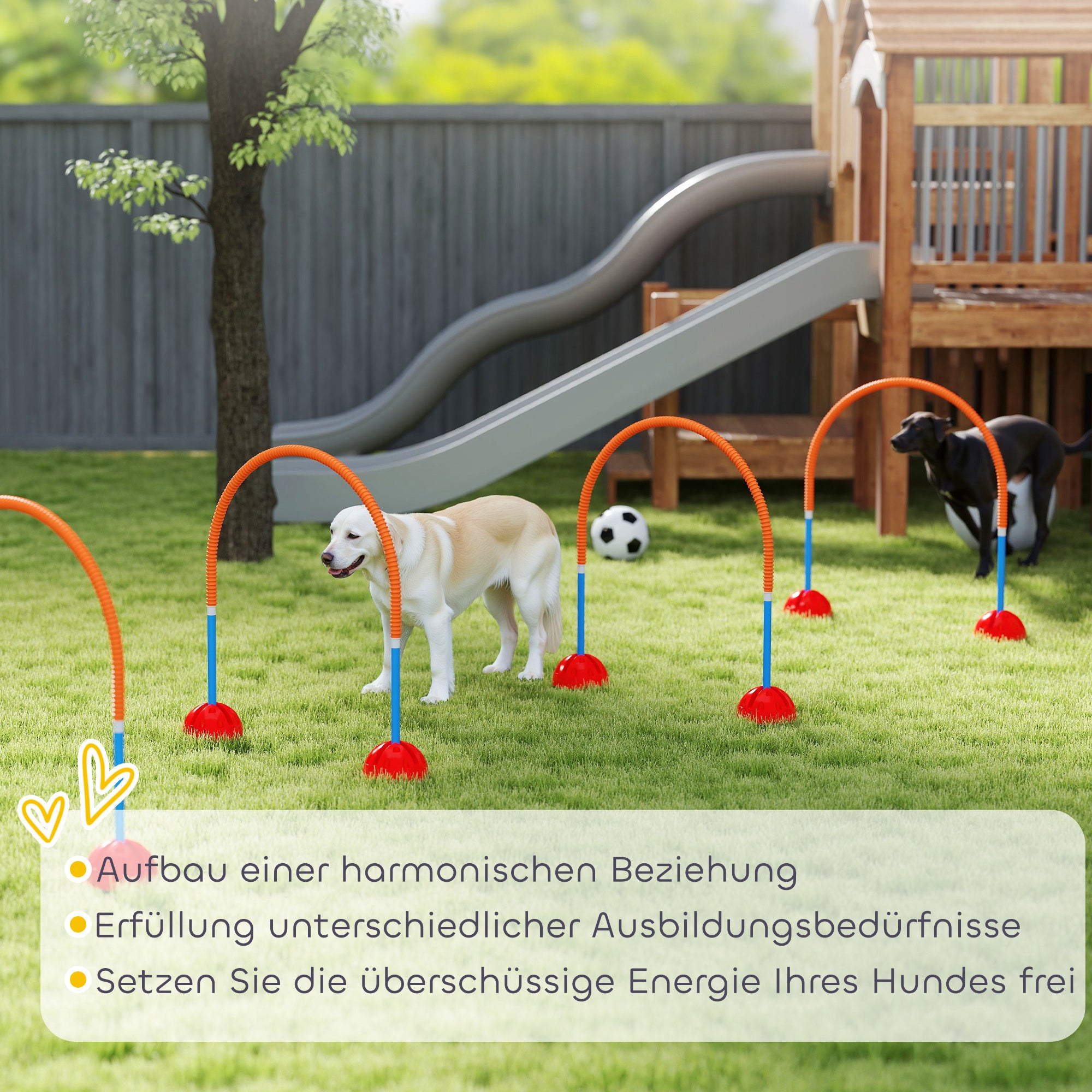 Agility Set Dog 4-piece Fillable Agility Equipment for Dog Training Hurdle Set with Adjustable Agility Doors Carry Bag Training Accessories Coordination Training for Games Training