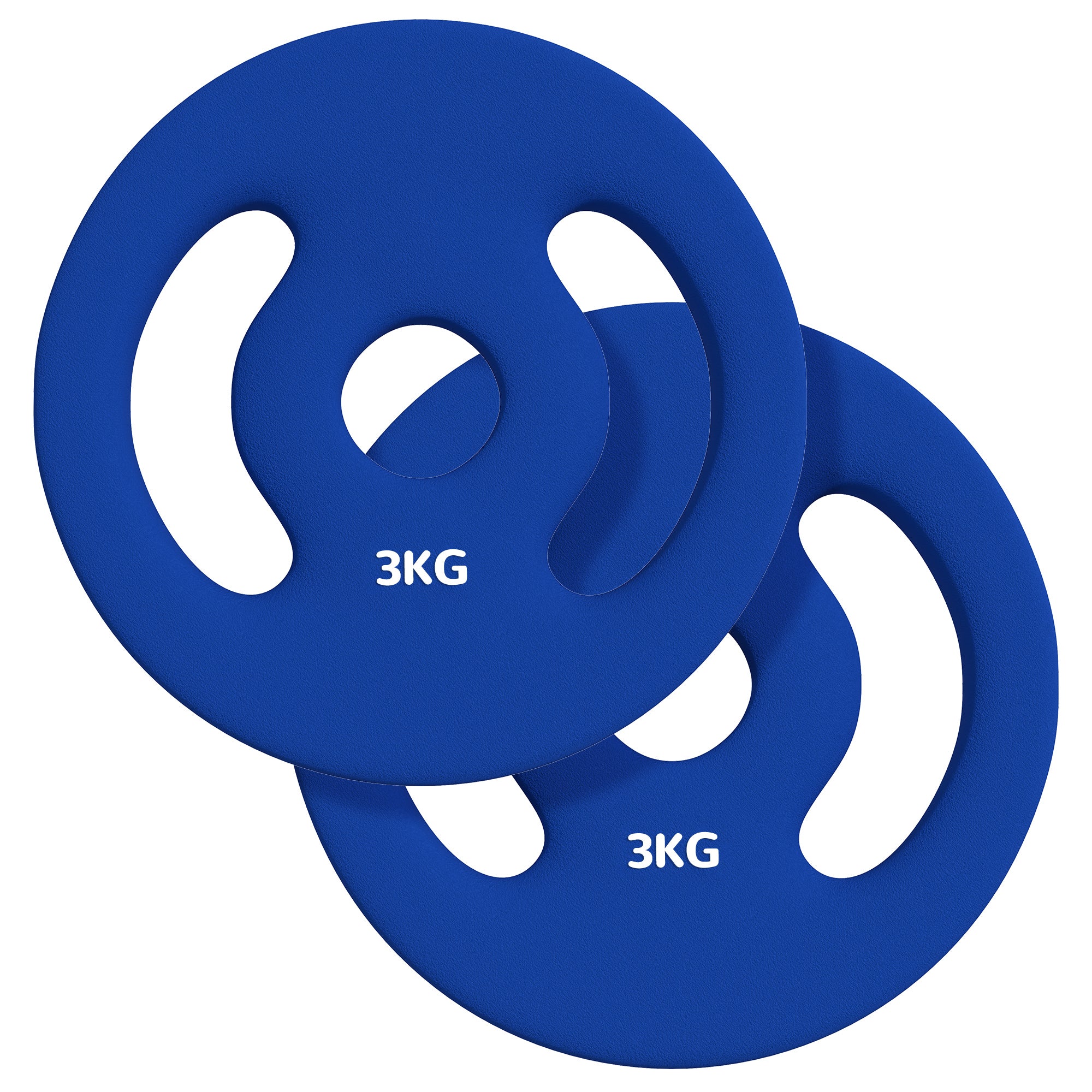 SPORTNOW Set of 2 Weight Plates, 2 x 3 kg, for Ø 2.5 cm Bars, with Easy-Grip Handles, for Home Gym, Weightlifting, Metal, Blue