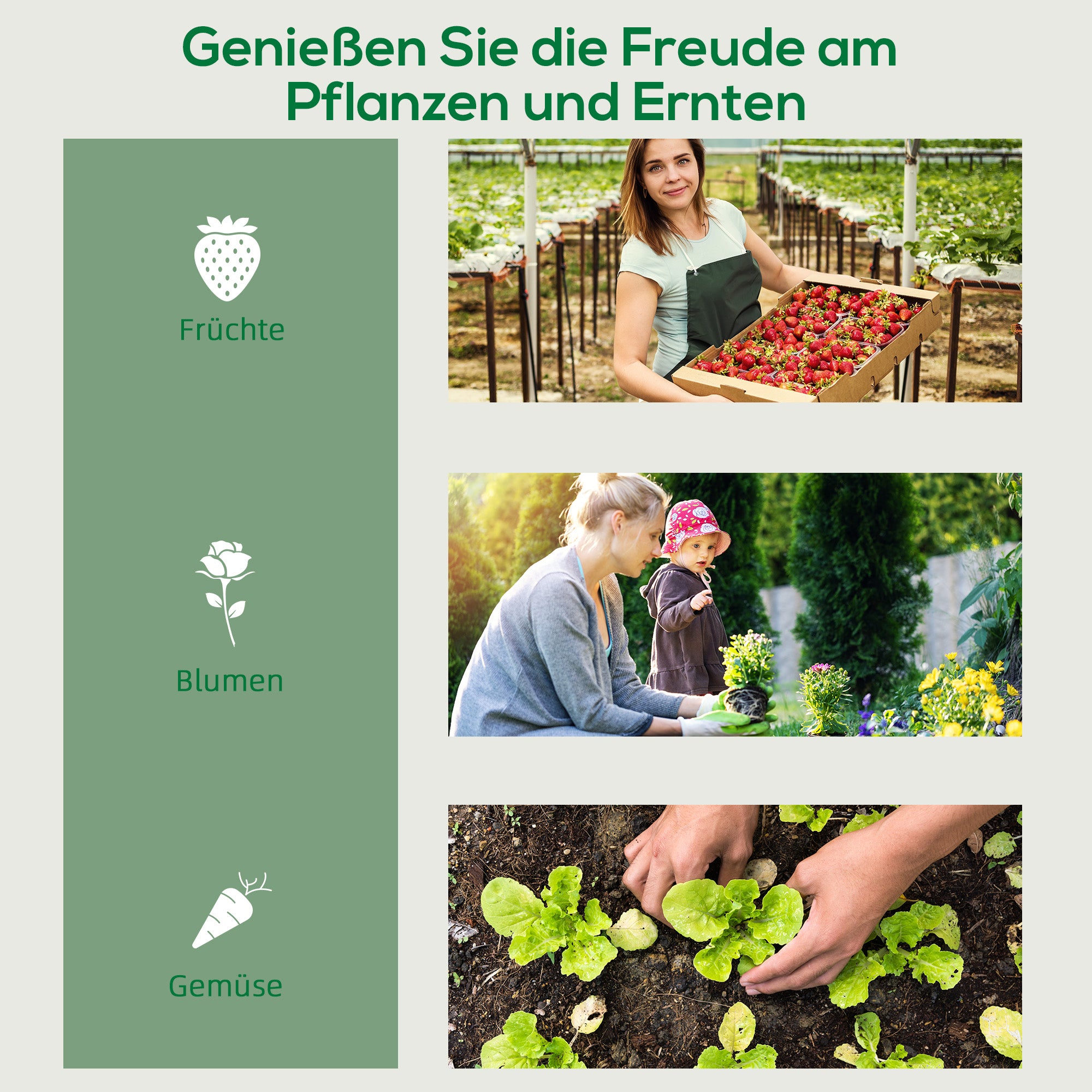 Greenhouse with Roll, Shelves, Winterproof Steel Greenhouse, Greenhouse for Balcony, Garden, Tomato House 69 x 50 x 165 cm, Tomato Greenhouse for Tomatoes, Flowers, Plants Transparent