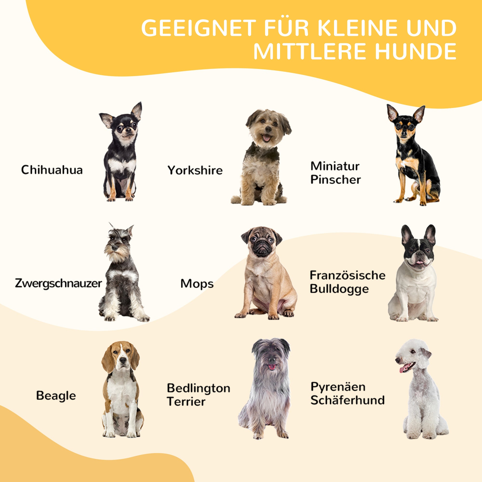 Puppy Playpen Enclosure Play Yard Pet Pen Playpen Dog Run customizable shape with door Metal 80 x 80 cm Black