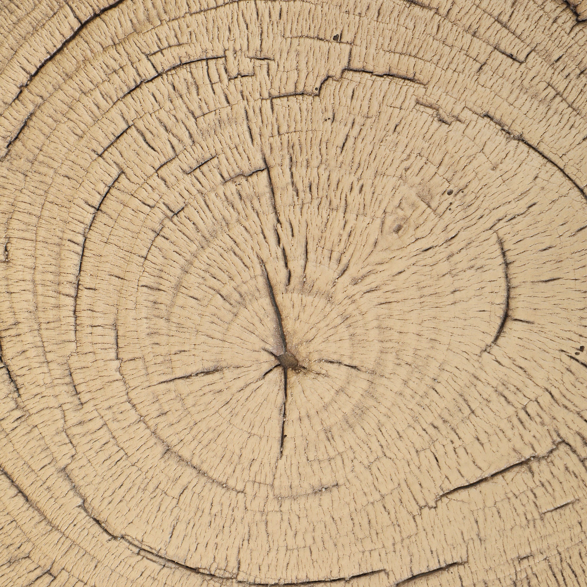 Decorative Garden Tree Trunk Ø38x42 cm Natural Style in Magnesium Oxide Use as Side Table Stool or Plant Stand Indoor and Outdoor