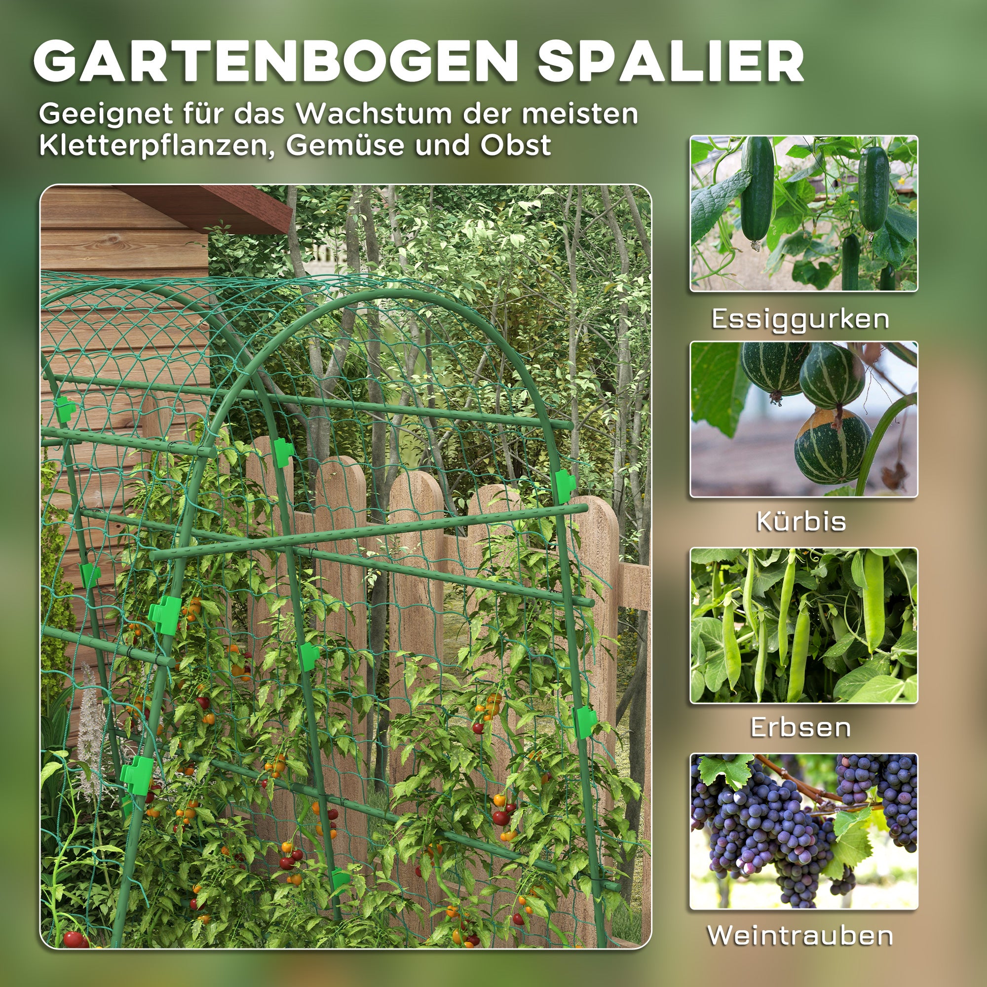 Metal Trellis Rustproof Plant Trellis for Climbing Plants Cucumbers Trellis 144 x 167 x 206 cm Garden Trellis Plant Trellis for Tomatoes, Vegetables, Flowers Climbing Plants Black