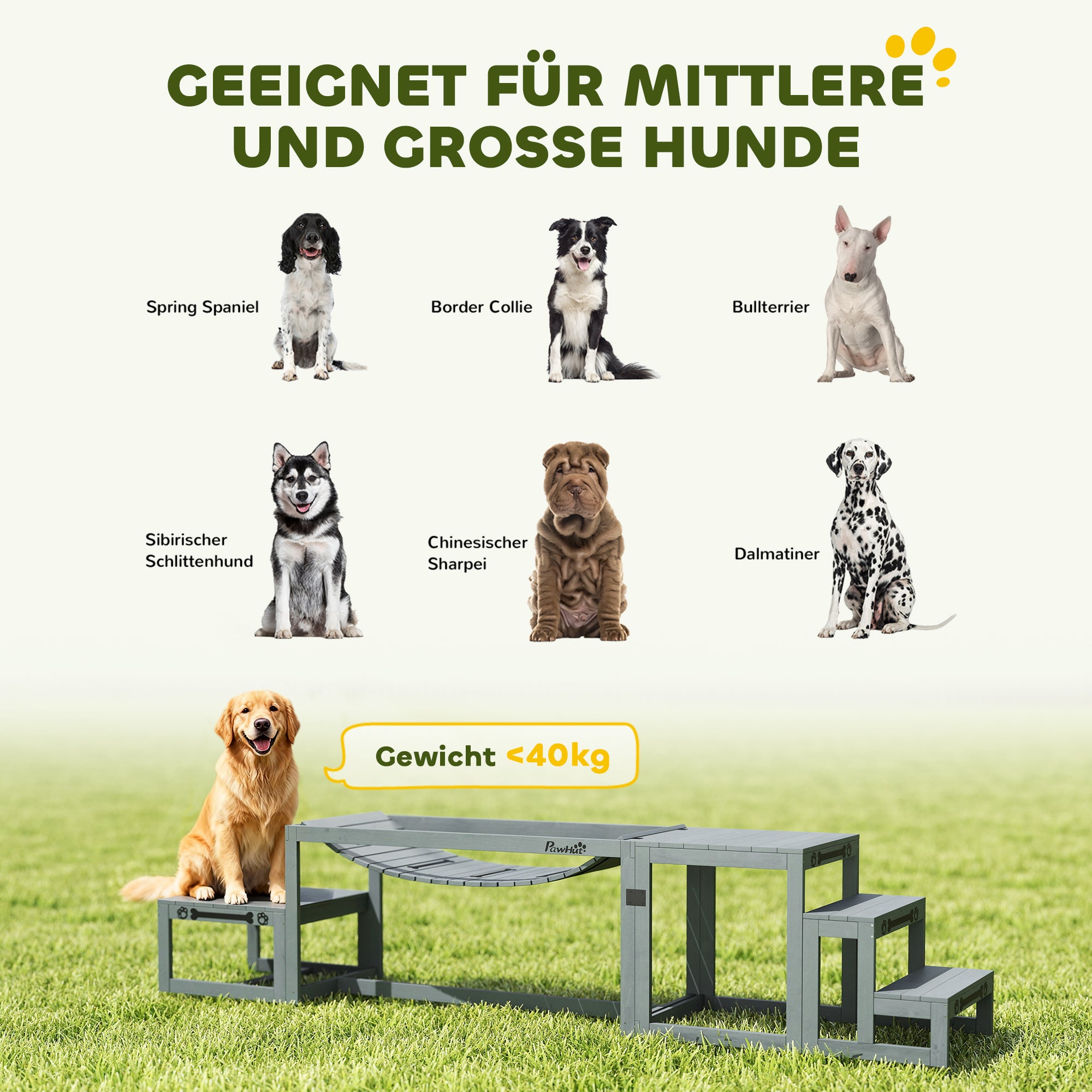 3-Piece Dog Agility Set — Spruce Wood Bridge, Ladder & Platform for Medium to Large Dogs up to 40 kg (88 lb), Gray