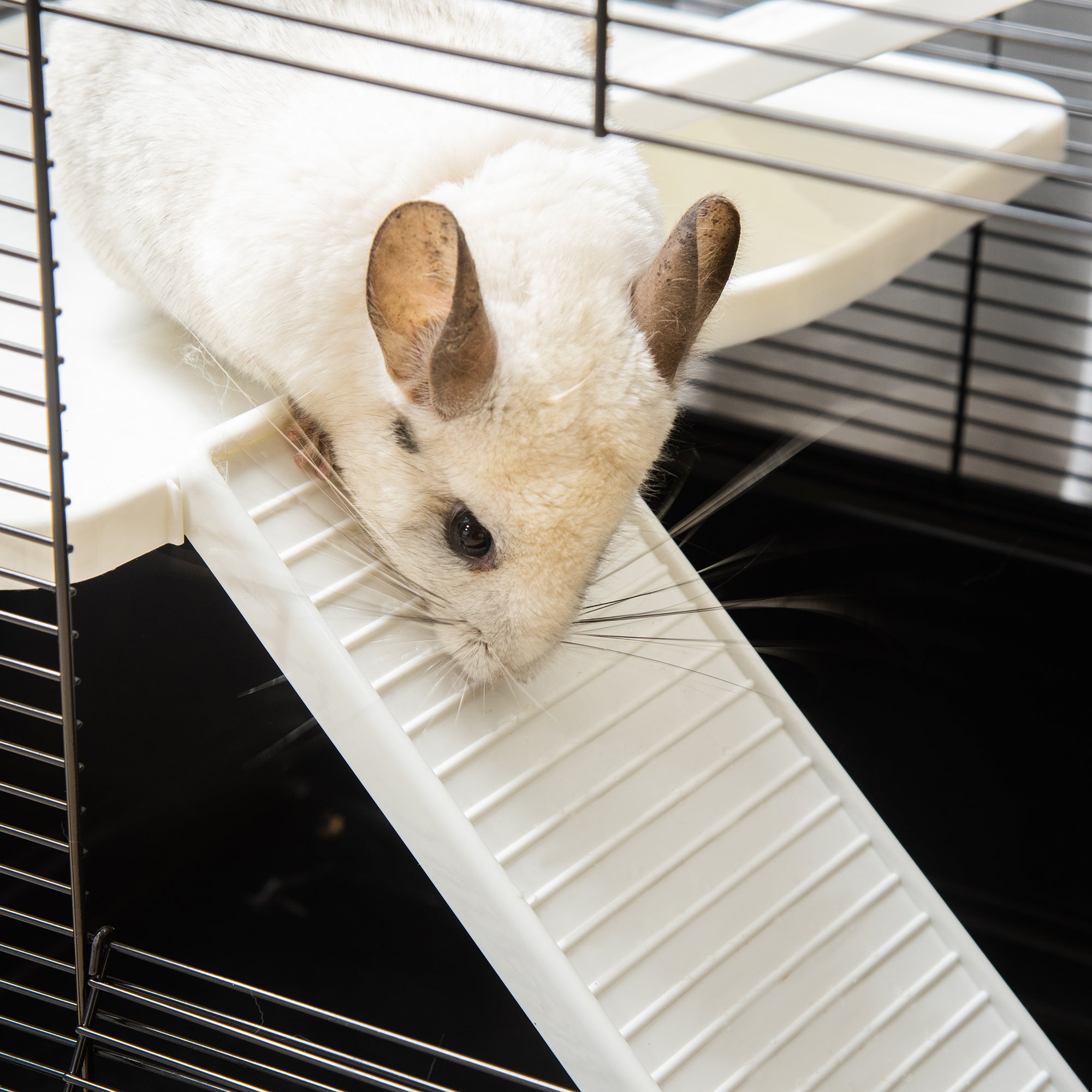 Guinea Pig and Hamster Cage with Handle, Water Tank, Ramp, and Food Dish, 80x48x58cm, Black