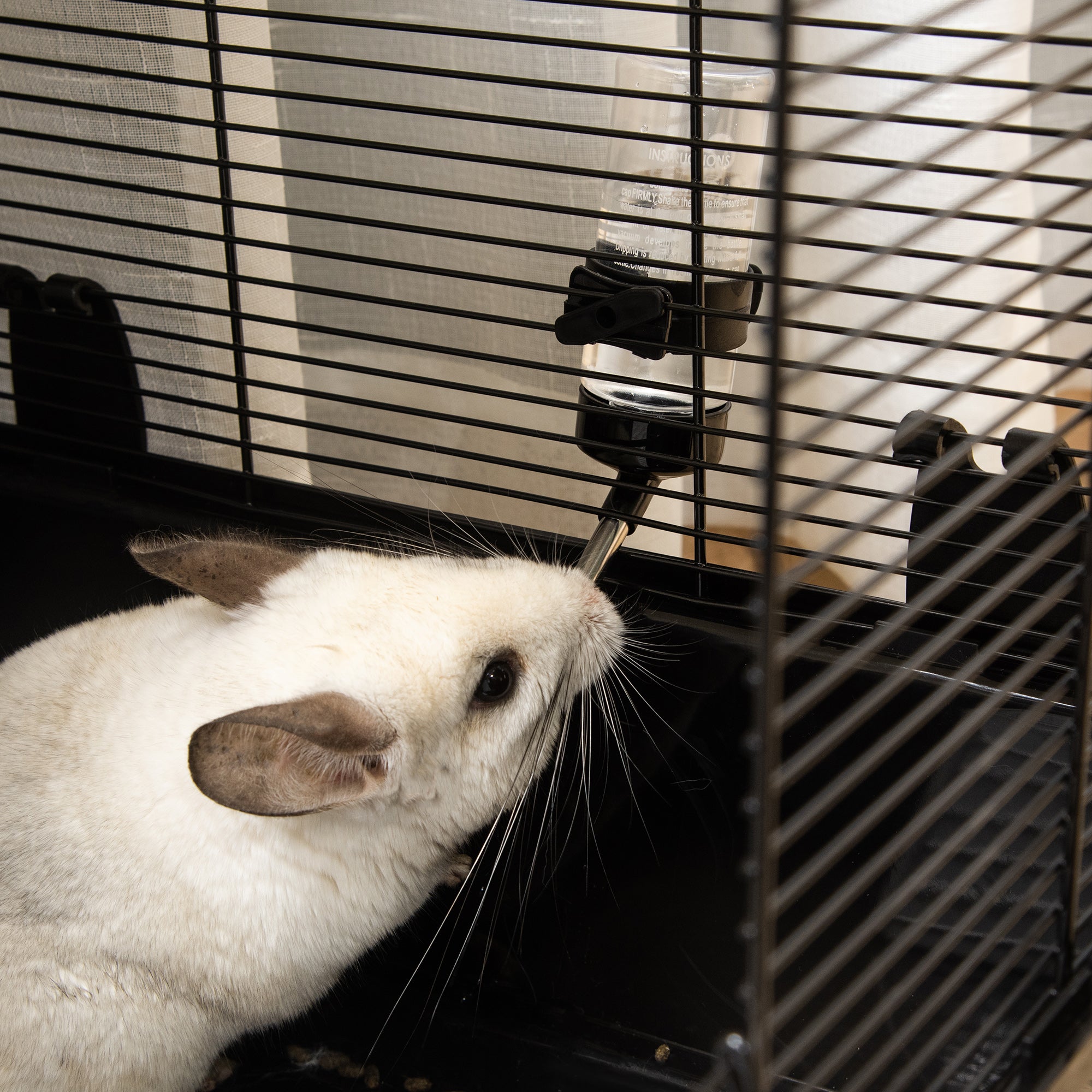 Guinea Pig and Hamster Cage with Handle, Water Tank, Ramp, and Food Dish, 80x48x58cm, Black