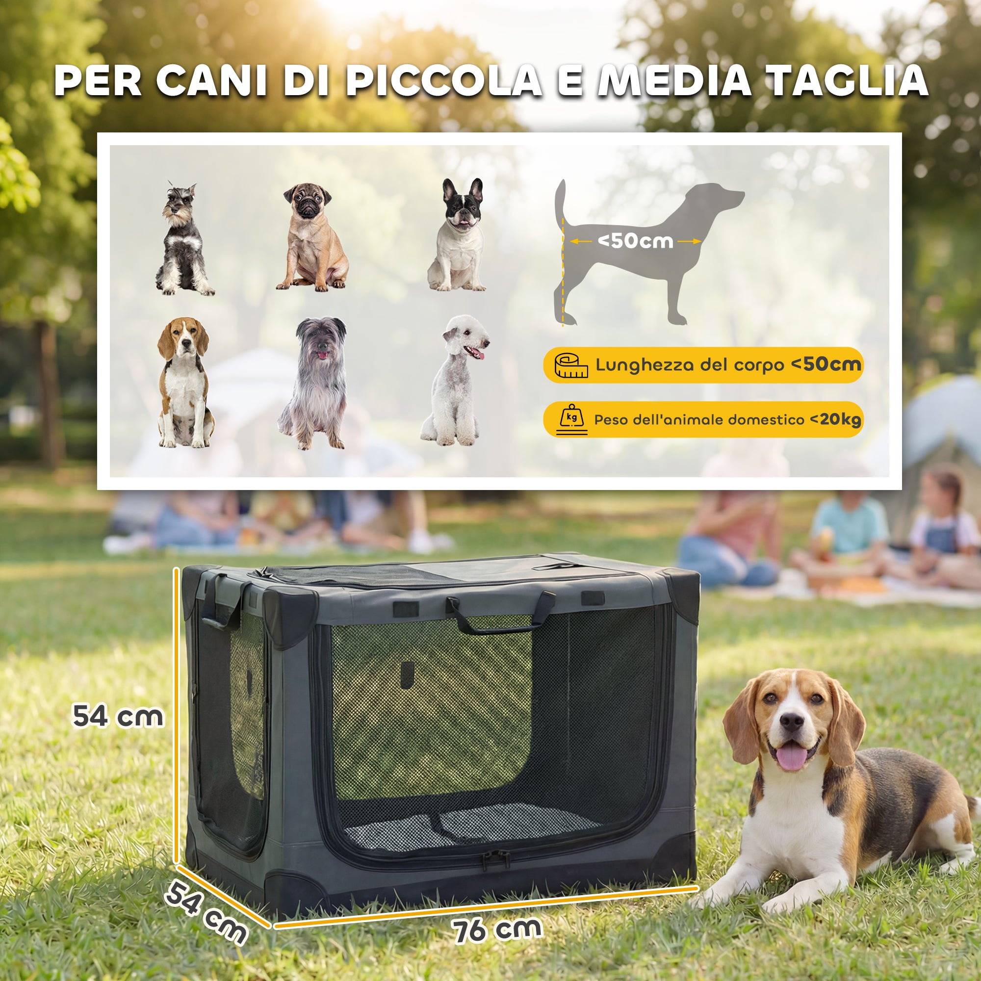 Foldable Soft Dog & Cat Carrier — Travel Crate with Cushion, Washable Cover, Breathable 600D Oxford, 30 x 21 x 21 in (76 x 54 x 54 cm), Green