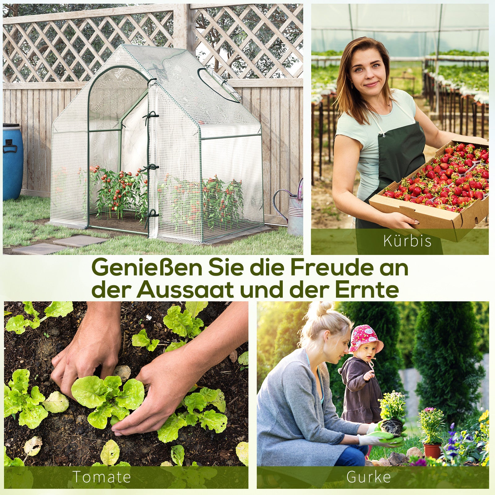 Greenhouse, 180 x 100 x 168 cm Film Greenhouse with Roll-up Door, Cold Frame, Tomato House with Top Window, PE Mesh Film, Winterproof Plant House for Garden, Balcony, White
