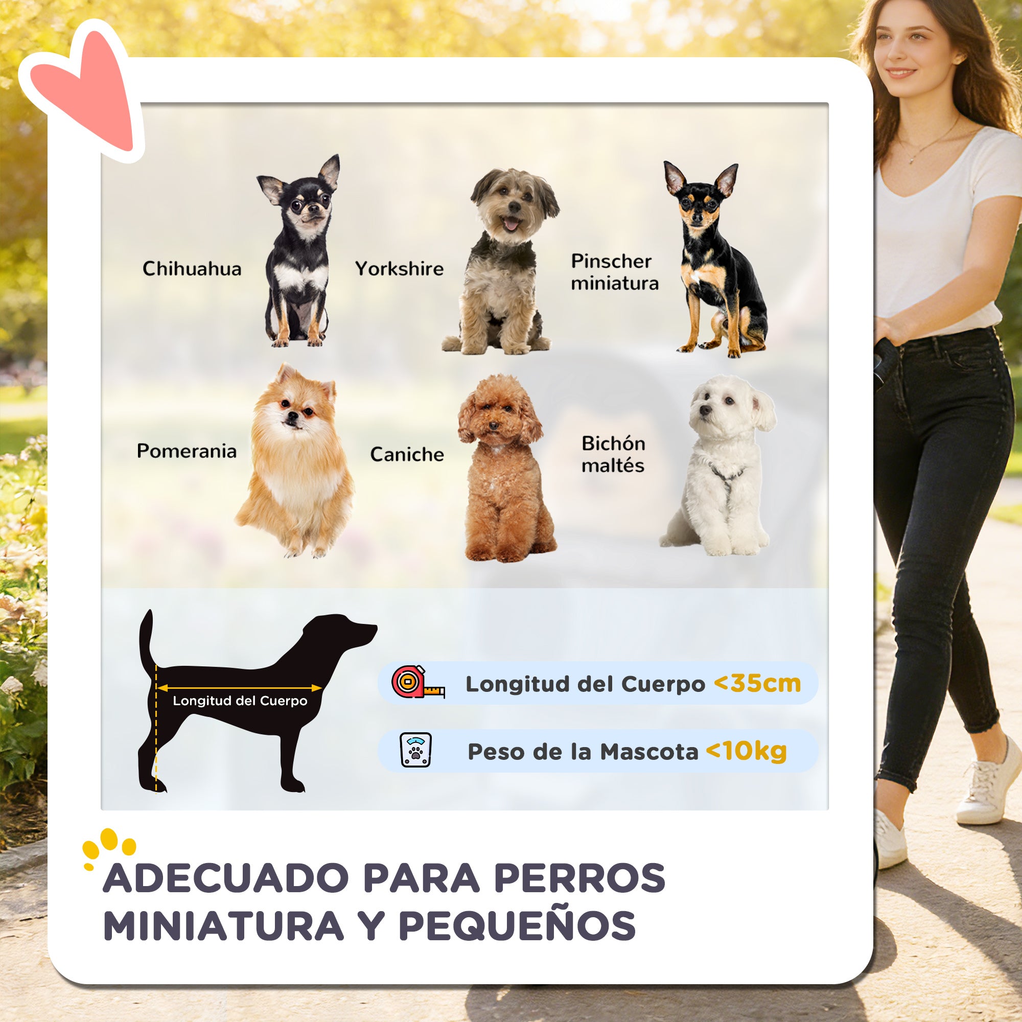 Foldable Dog Stroller for Small Dogs with Mesh Windows, Storage Basket, Cup Holders & Washable Cushion — Black