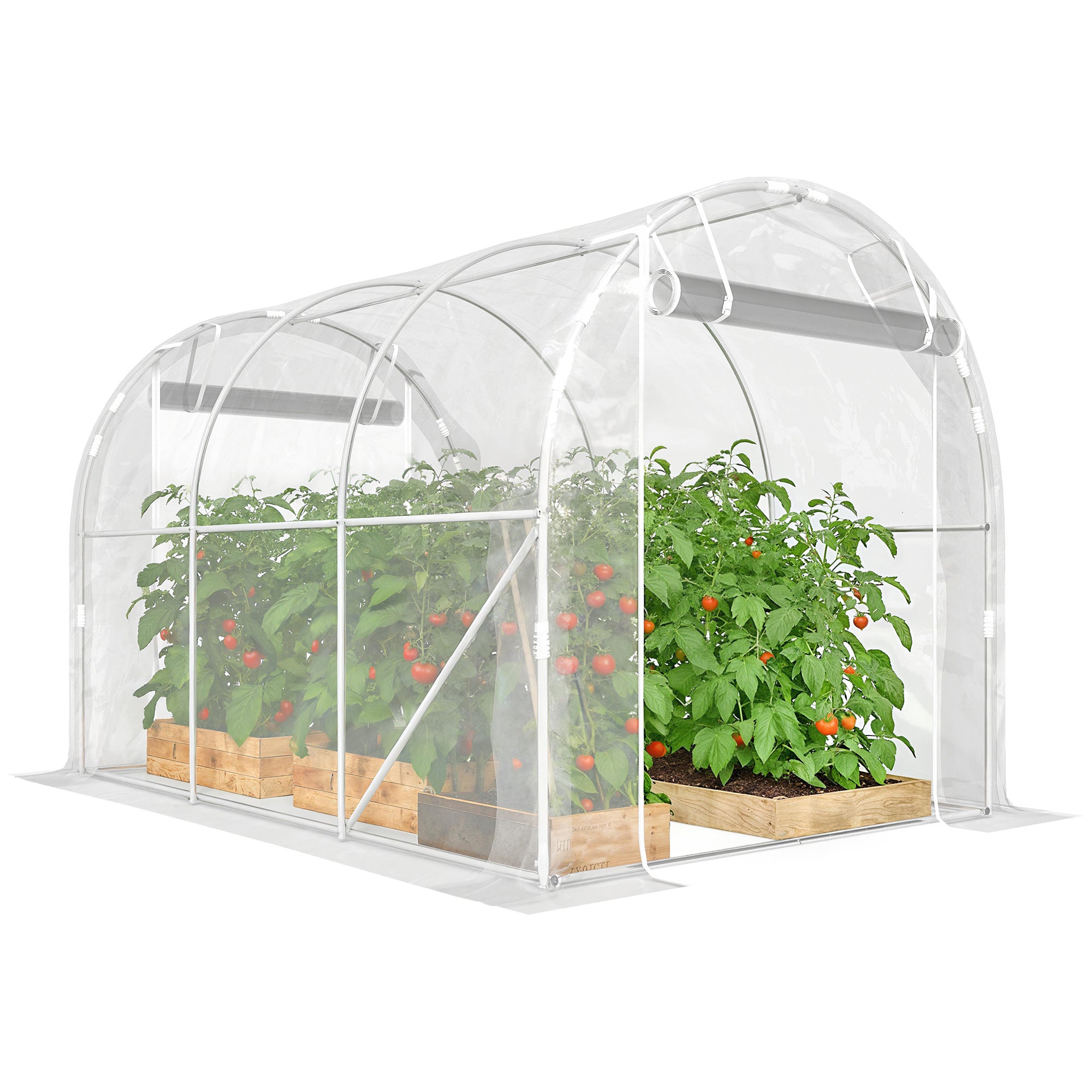 6 m² (≈64.6 sq ft) Tunnel Greenhouse — Galvanized Steel Frame, 150 gsm PE Cover, 2 Roll-Up Zipper Doors, 195×295×195 cm (76.8×116.1×76.8 in) — Clear