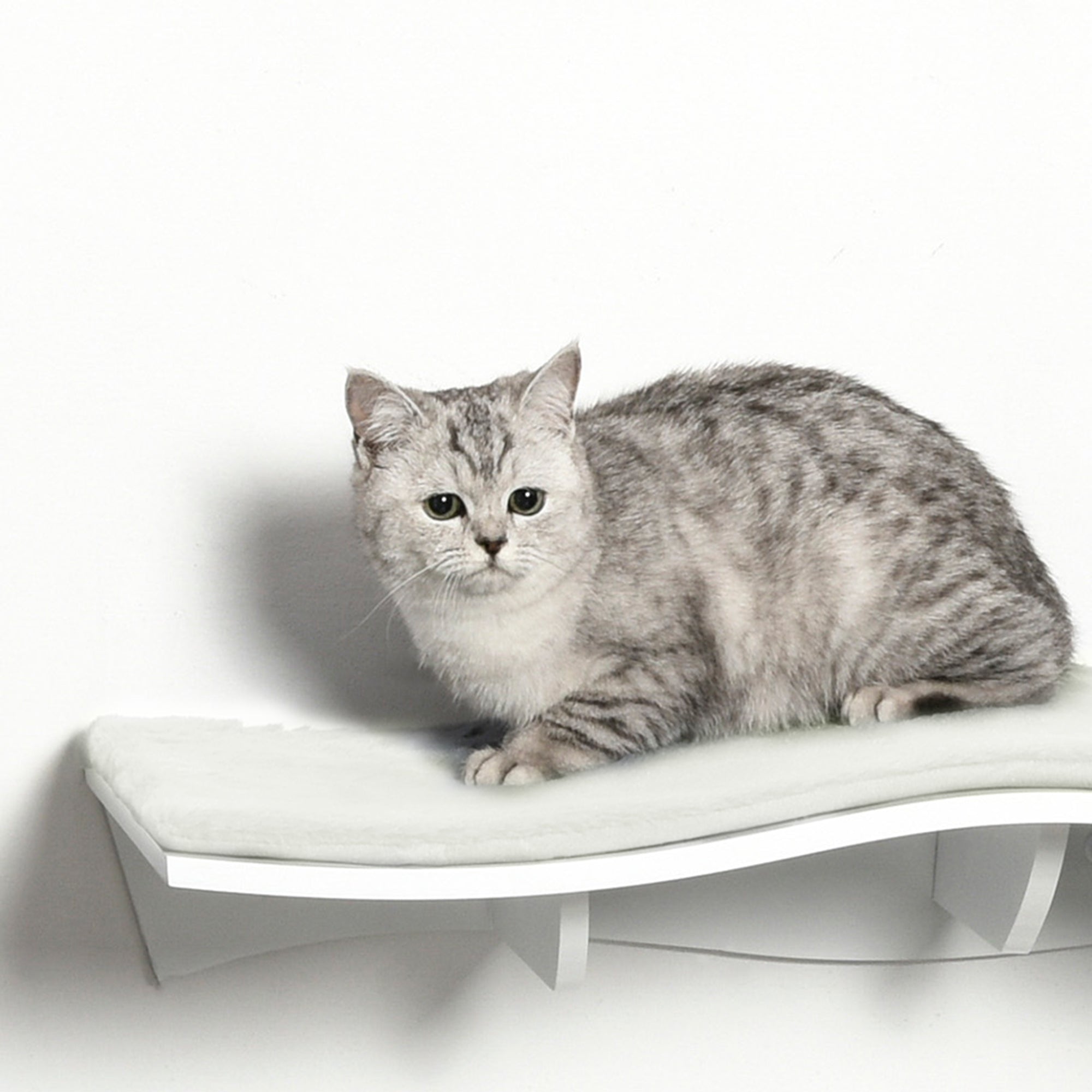 Cat Climbing Wall Cat Hammock Cat Bed Wall Cat Shelf Wall-mounted Cat Furniture Plush MDF White 53 x 28 x 12 cm