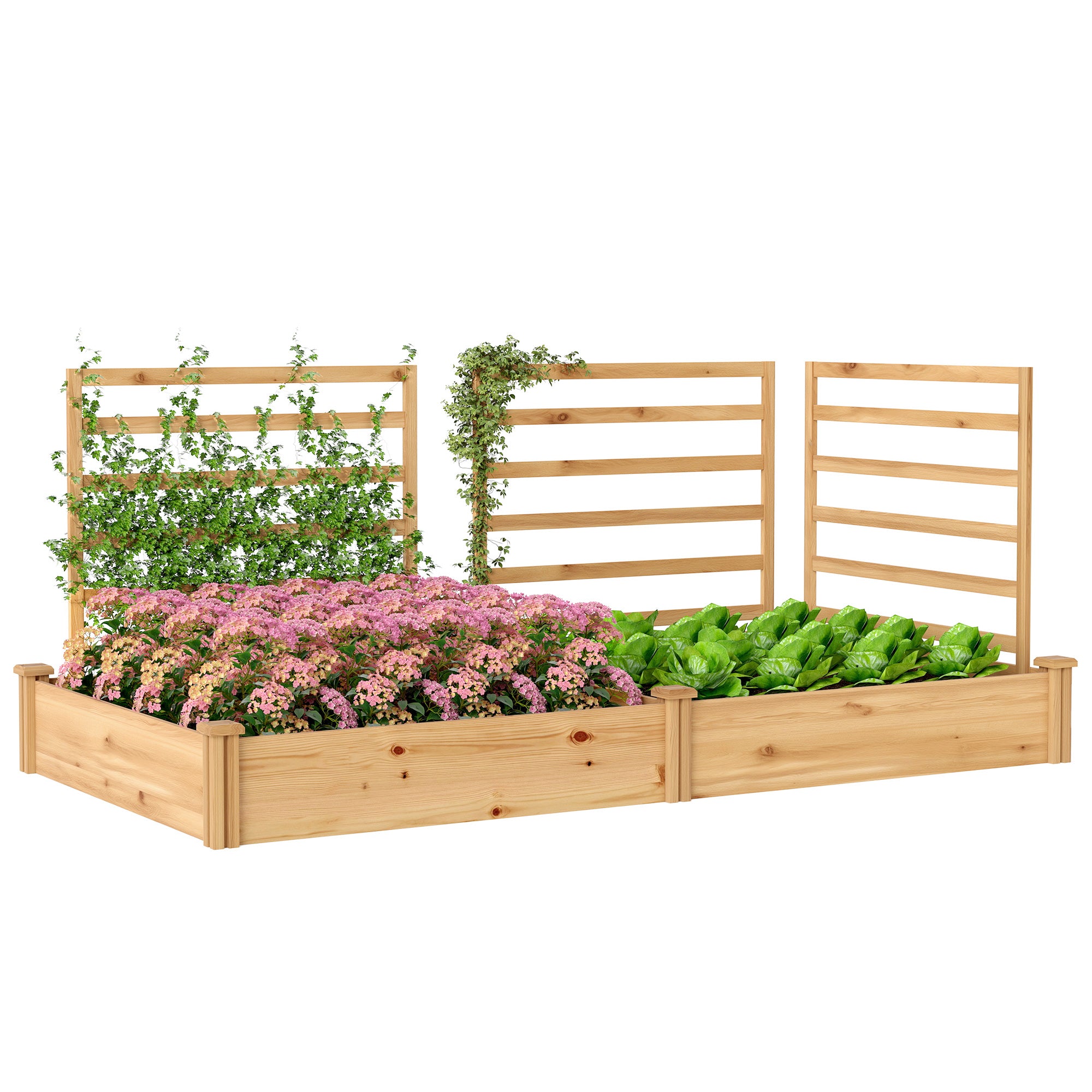 Raised Wooden Planter with 3 Trellises, Double Beds & Open Base — 240 x 125 x 102 cm (94.5" x 49.2" x 40.2") — Natural Pine