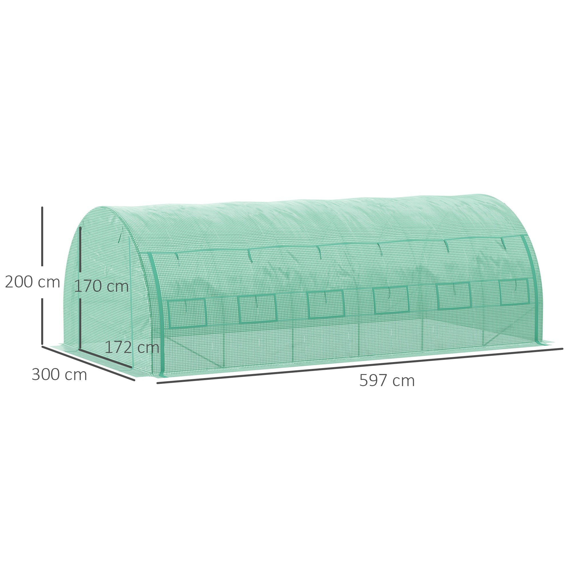 Poly Tunnel Greenhouse 6 x 3 x 2 m Walk-In Greenhouse with Roll-Up Covers Poly Tunnel Greenhouse UV Protection Steel Pipe Green