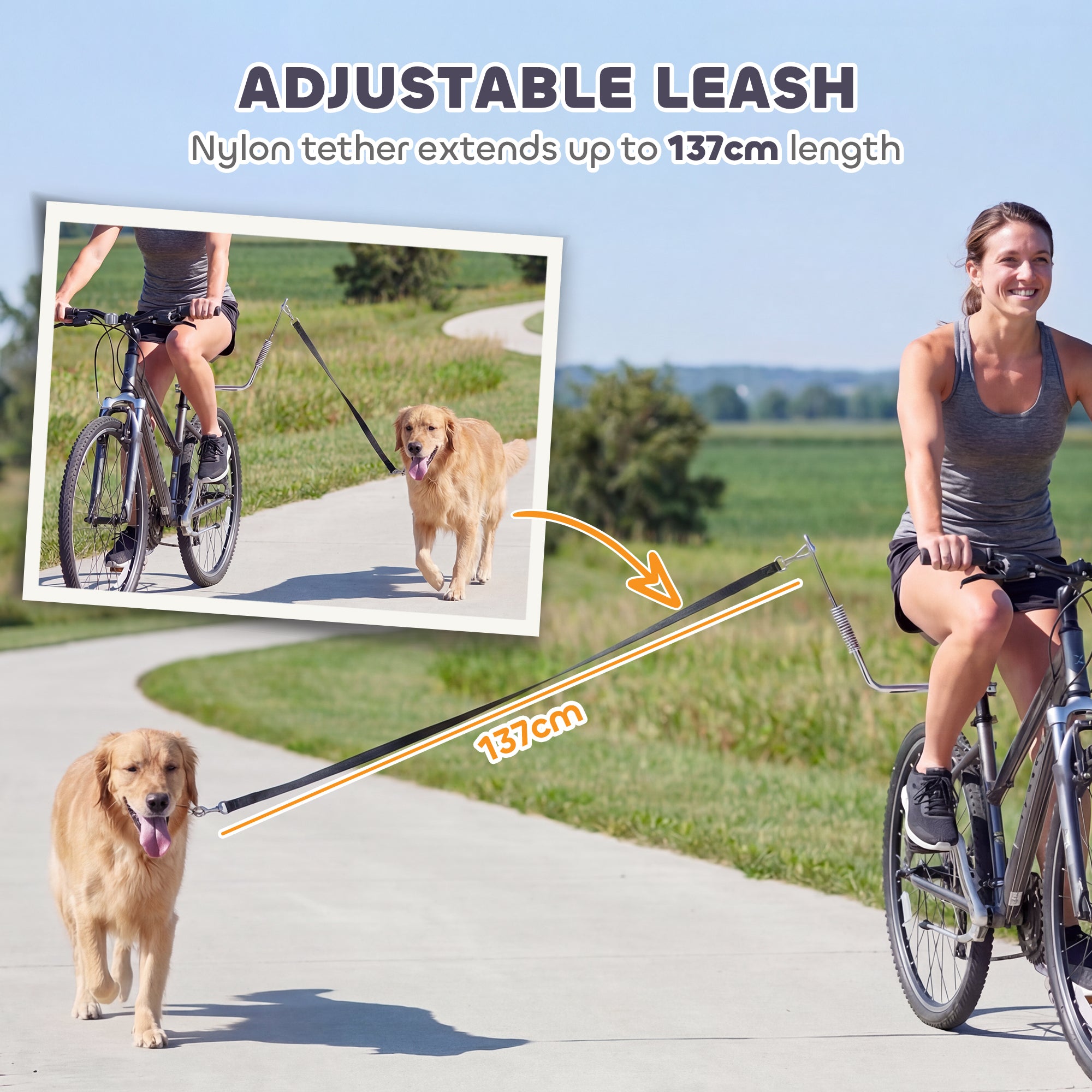 Bike Leash for Dogs with Shock Absorber, Adjustable Lead & Quick-Release — Silver/Black