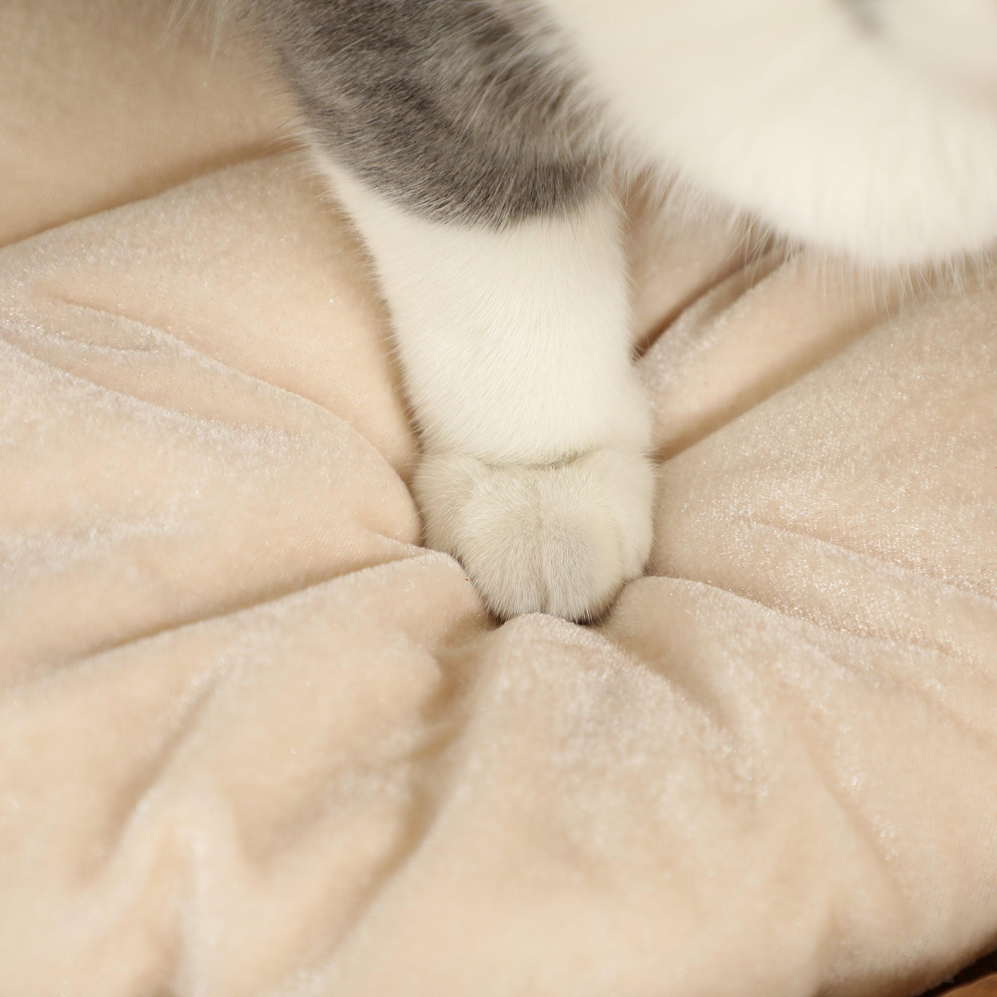 Scratching Post, 50 cm High Cat Tower with 2 Caves, Scratching Post with Cushion, Cat Tower Made of Water Hyacinth, for Cat up to 3.5 kg, Light Brown