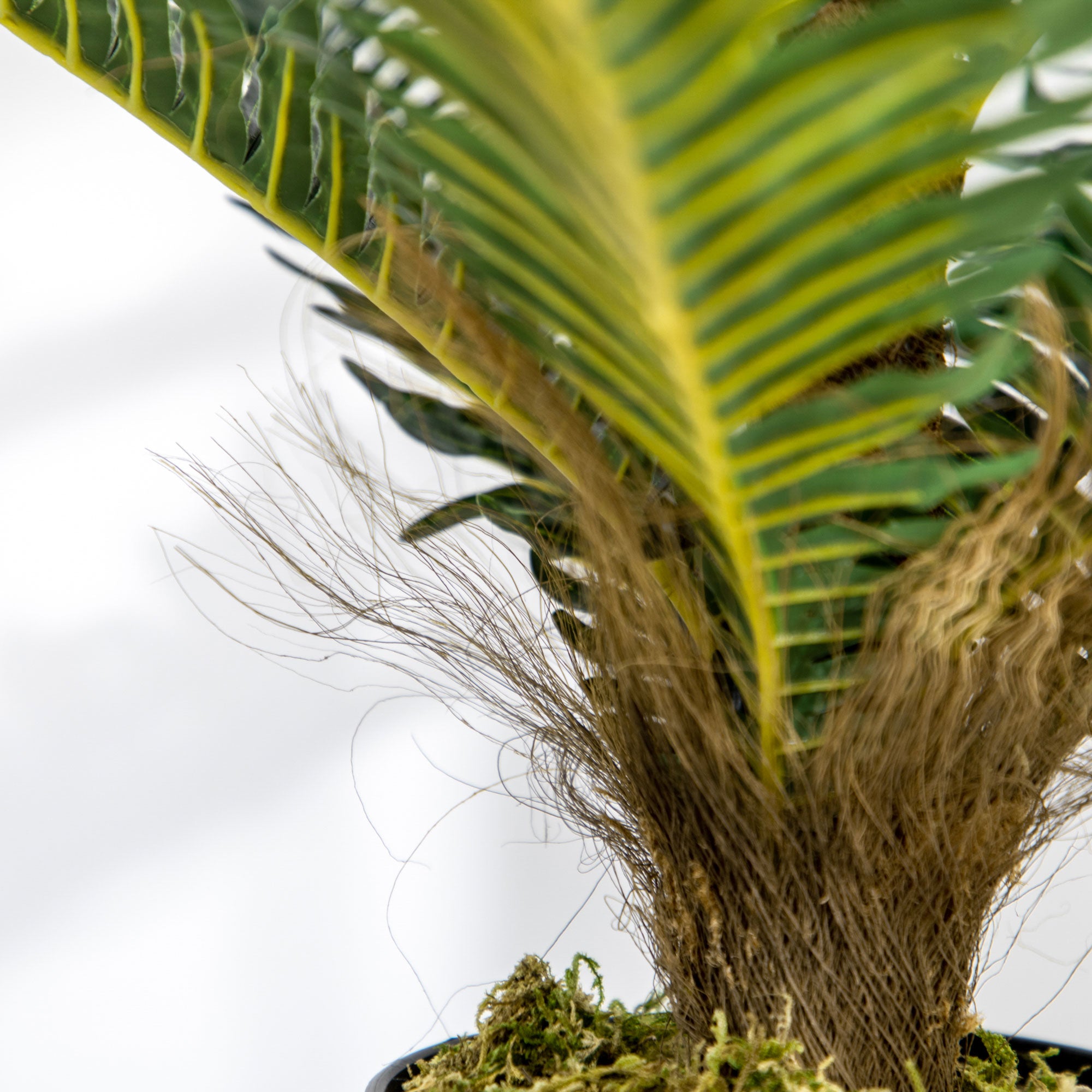 Artificial Palm Tree Plant 85 cm with 18 Large Realistic Leaves Pot Included