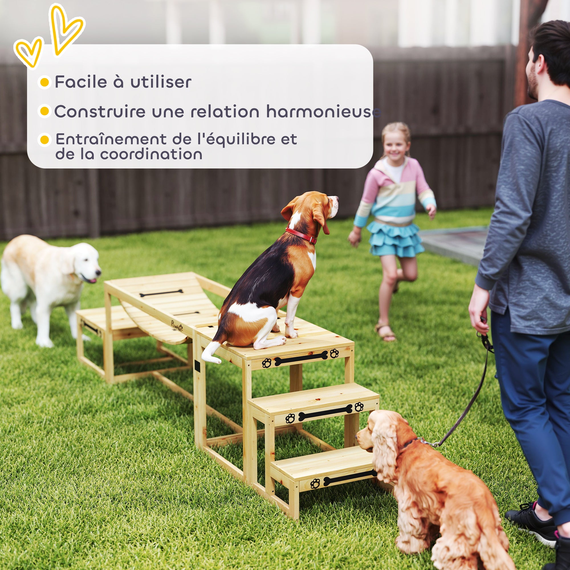 Dog Agility Training Equipment, 3 Piece Dog Agility Equipment Kit, Soft Bridge, Rest Platform, Stairs Included, Solid Wood, Natural Wood