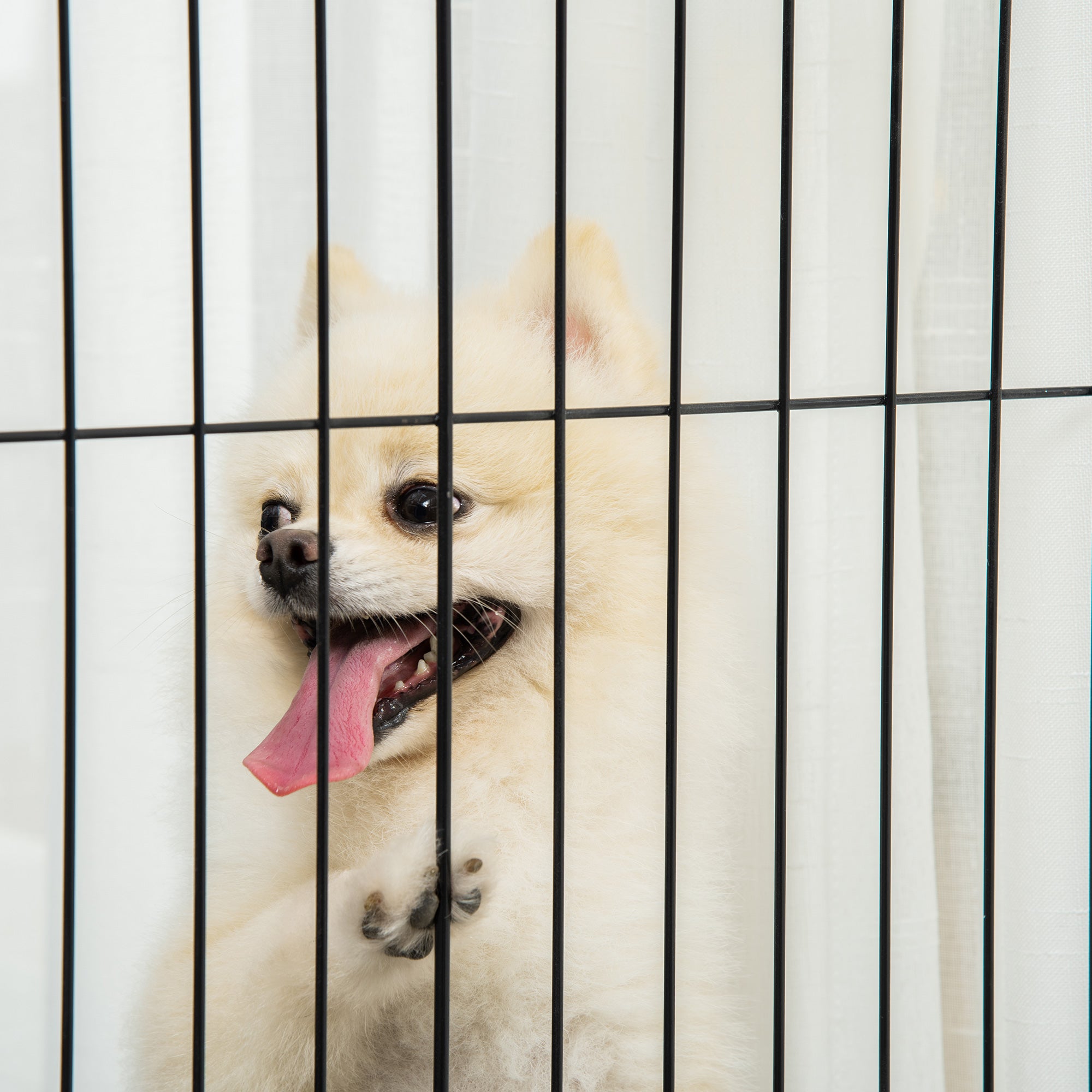 Freestanding Pet Gate Dog Safety Gate with Feet 305 x 82 cm Wood Dog Gate Foldable Stair Gate Dog Barrier for Stairs, Doors, Hallway, 4 Panels, White