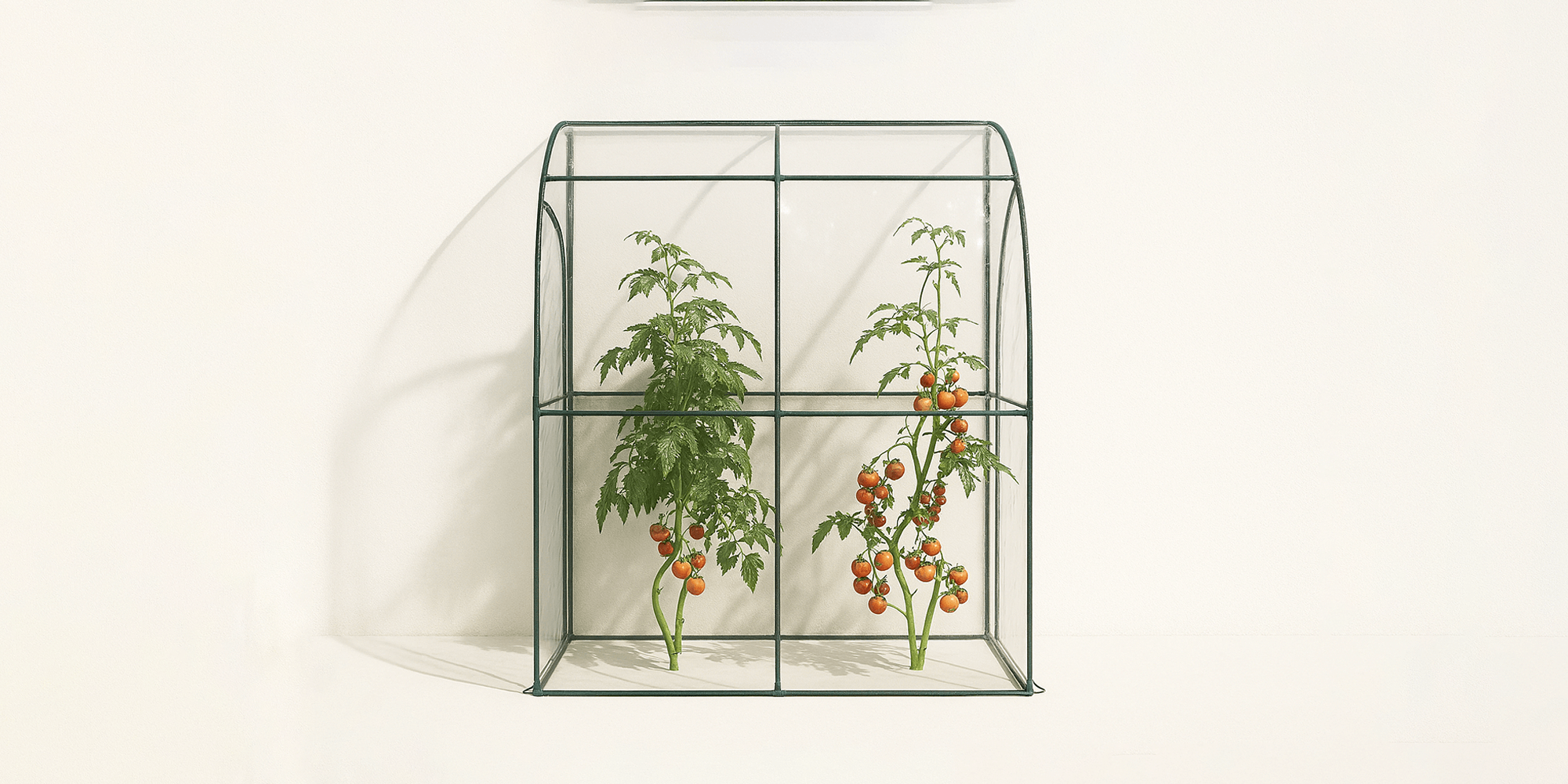 Lean to Greenhouses