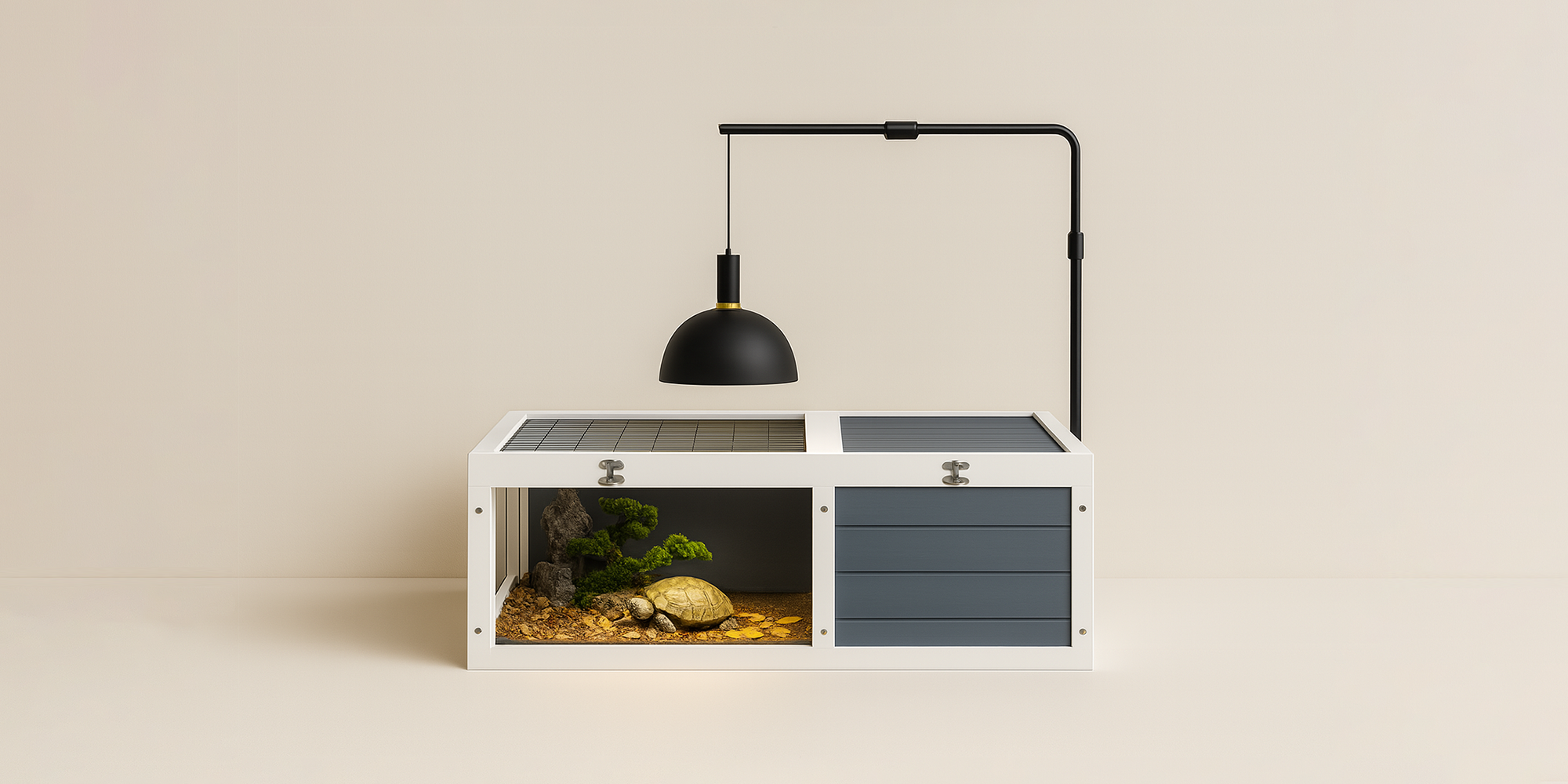 Tortoise Houses