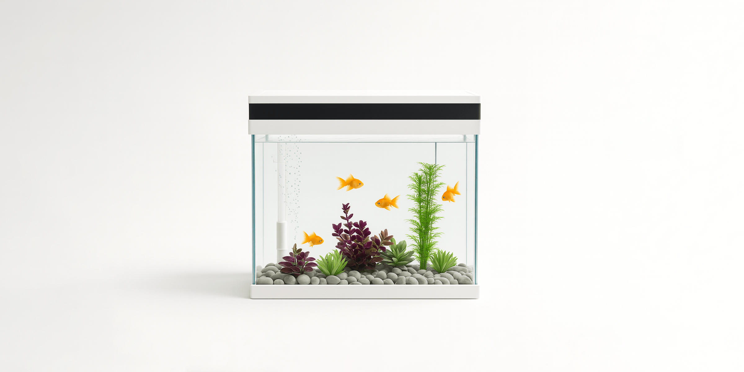 Reptiles & Amphibians Products