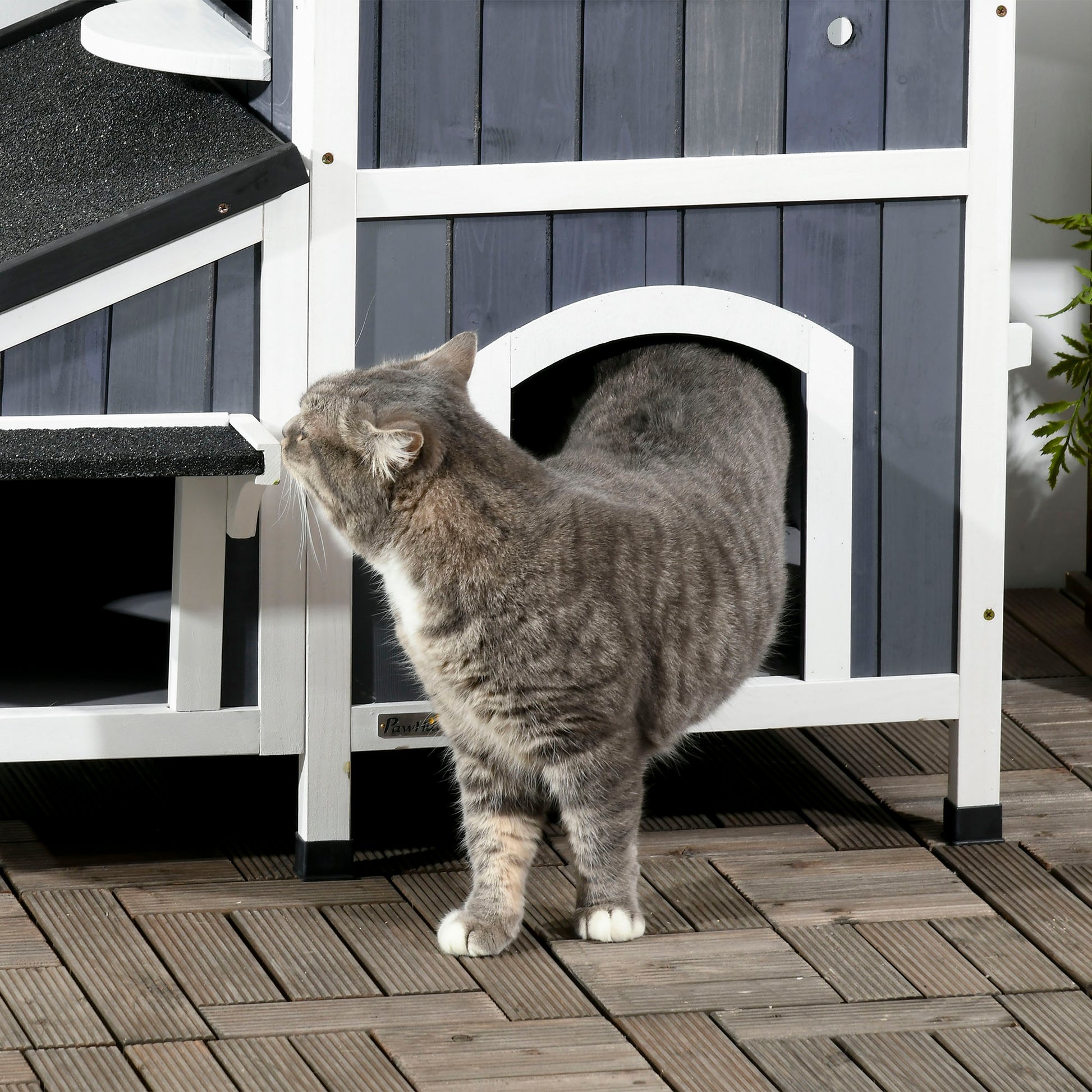 Wooden Cat House, Winterproof Cat Shelter with Multiple Entrances, 2 Floors, Cat Cave for Outdoor, Small Animal House with Asphalt Roof, Flower Box for Outdoor Garden, 96 x 65 x 85.5 cm, Gray