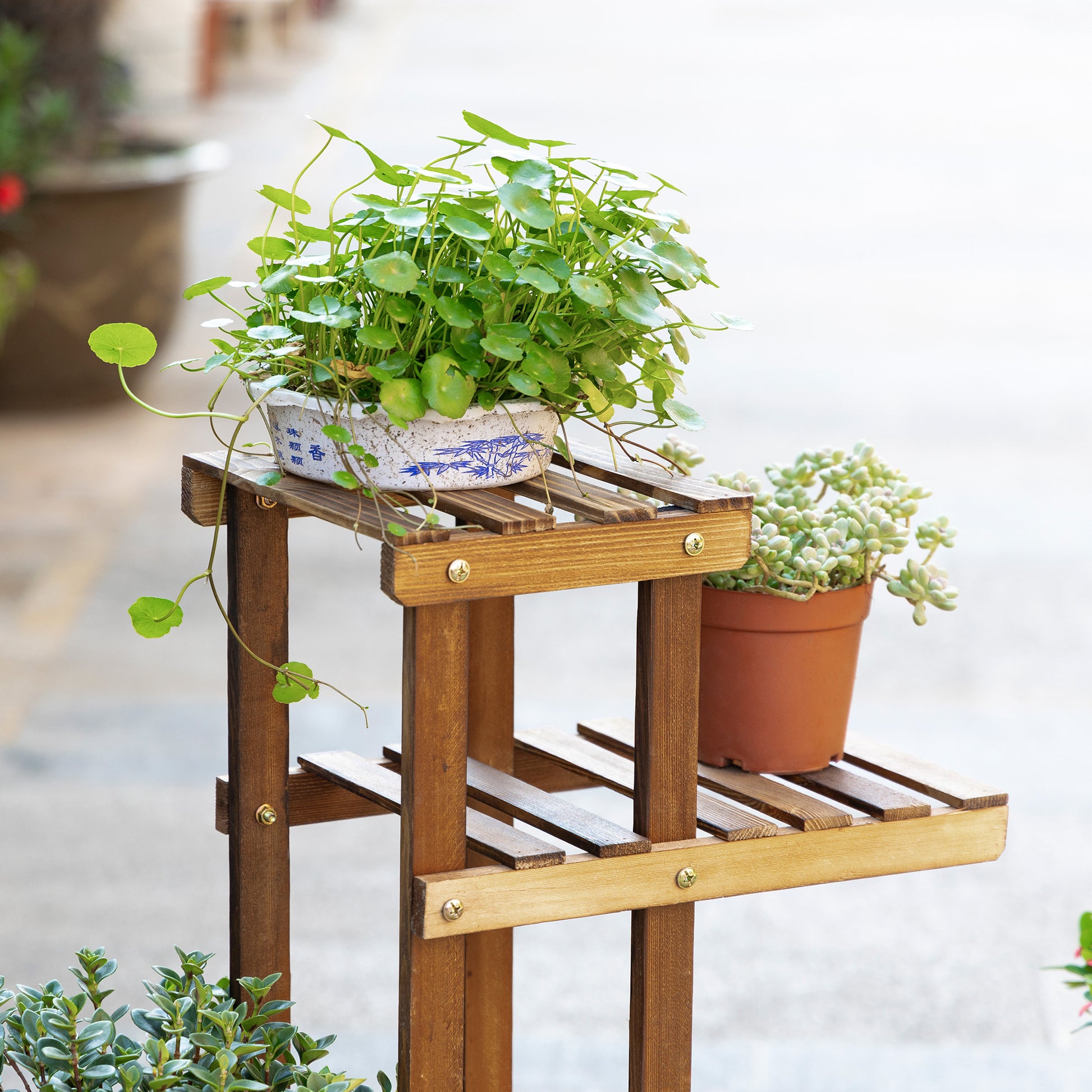 Flower Stand Plant Shelf 6 Levels Four-Layered Flower Rack Flower Staircase Flower Ladder Solid Wood Charcoal 98 x 28 x 96.5 cm