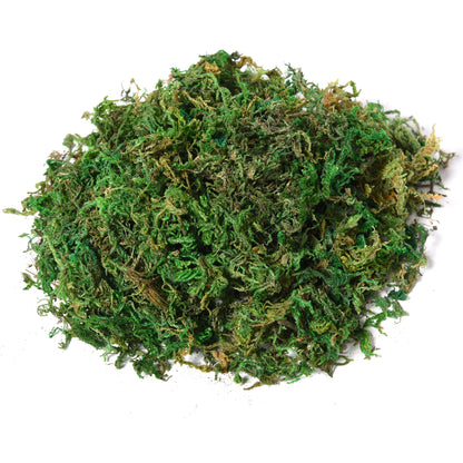 Artificial Ficus Tree Large 145 cm, Artificial Tree, Artificial Plant, Plastic Artificial Plant in Pot, Fake Plant Like Real for Living Room Bedroom Office Garden Modern Decoration Gift