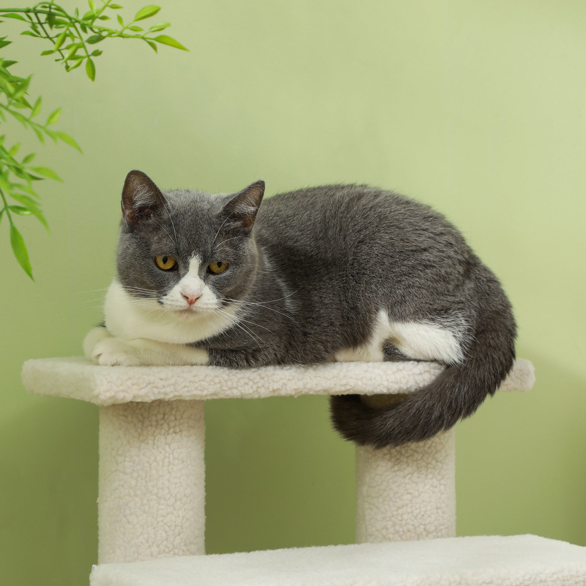 Pet Stairs Cat Stairs Dog Stairs Stairs for Cats and Dogs 4 Steps Cream 63.5x43x60cm