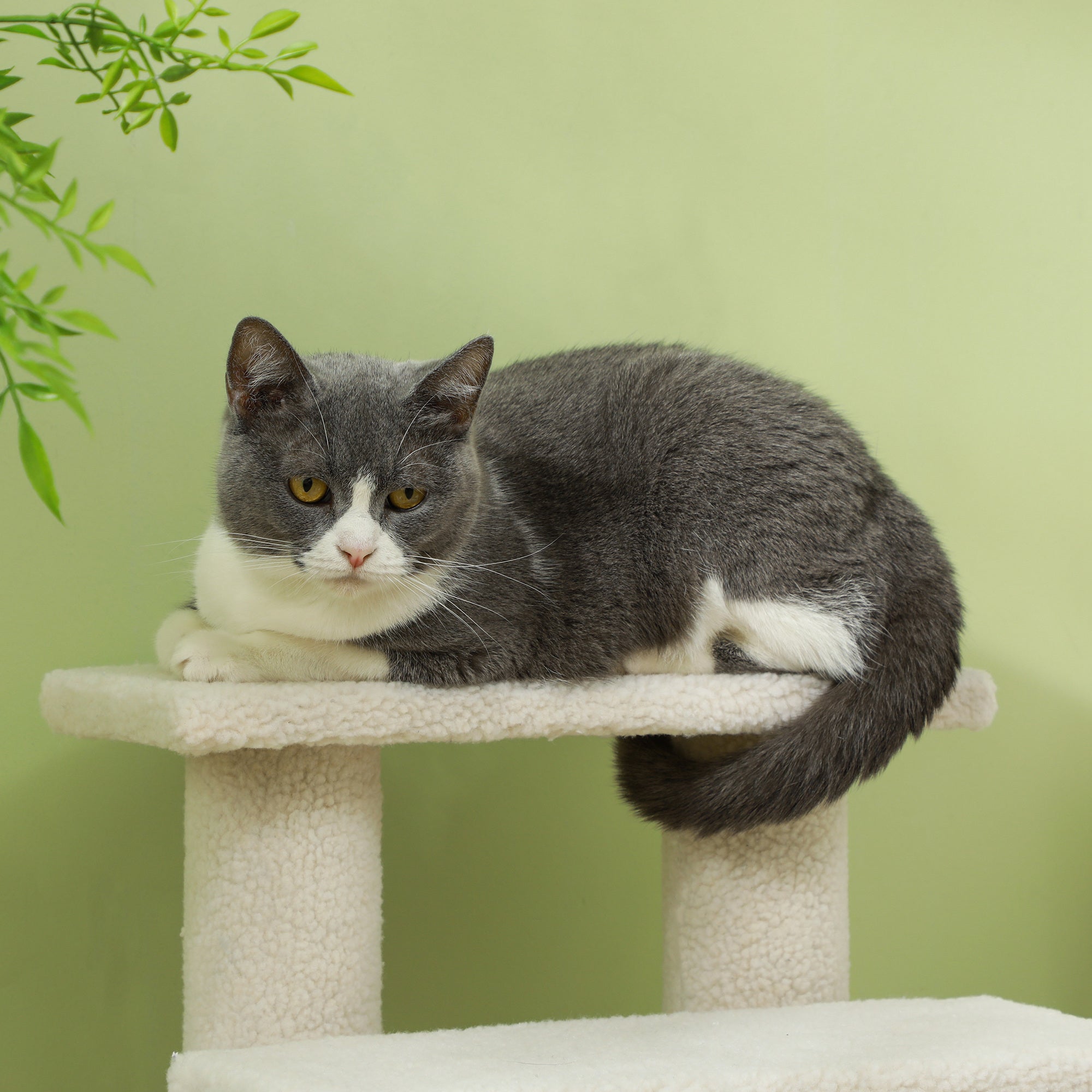 Pet Stairs Cat Stairs Dog Stairs Stairs for Cats and Dogs 4 Steps Cream 63.5x43x60cm