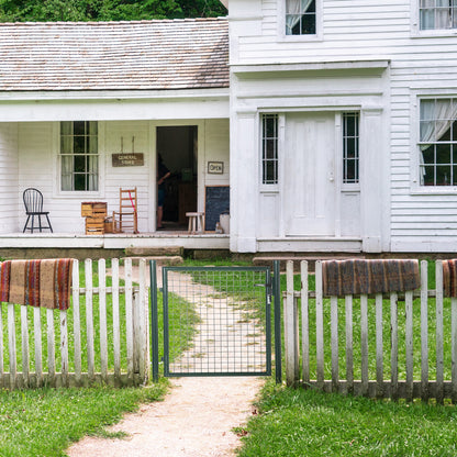 Steel Garden Gate with Lock Handle and 3 Keys Fence Door Barrier for Outdoor Patio Terrace 97x150 cm Green