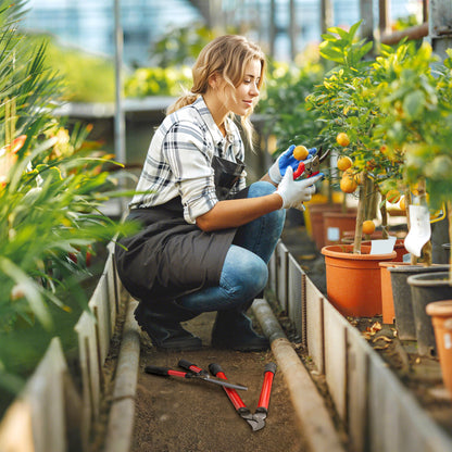 3-Piece Garden Tools Set Gardening Kit with Hedge Shears Lopper Pruning Shears and Non-Slip Rubber Handles Lightweight For Pruning Plants