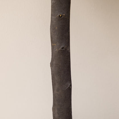 Set of 2 Decorative Artificial Plants 60 cm Boxwood Ball Trees in Pots Fake Plants for Indoor and Outdoor Home Decoration Ø20x60 cm Green