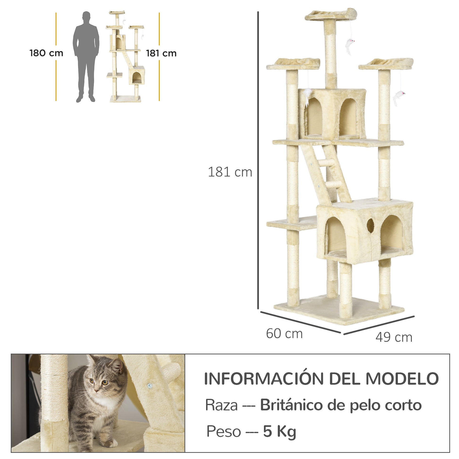 Large Cat Scratching Tree 60x50x181 cm with Multiple Scratching Posts Platforms Stairs Caves Toys Activity Center Beige