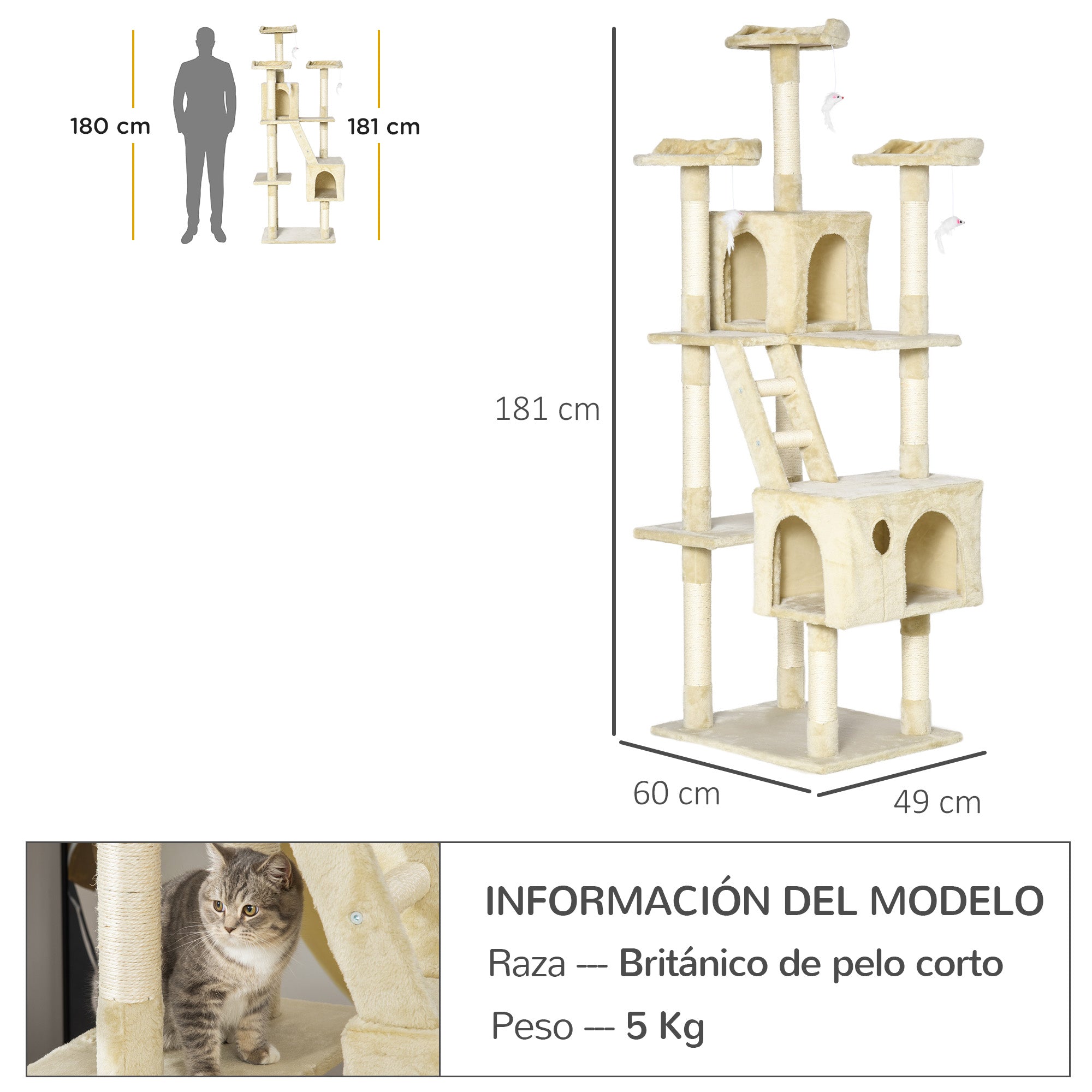 Large Cat Scratching Tree 60x50x181 cm with Multiple Scratching Posts Platforms Stairs Caves Toys Activity Center Beige