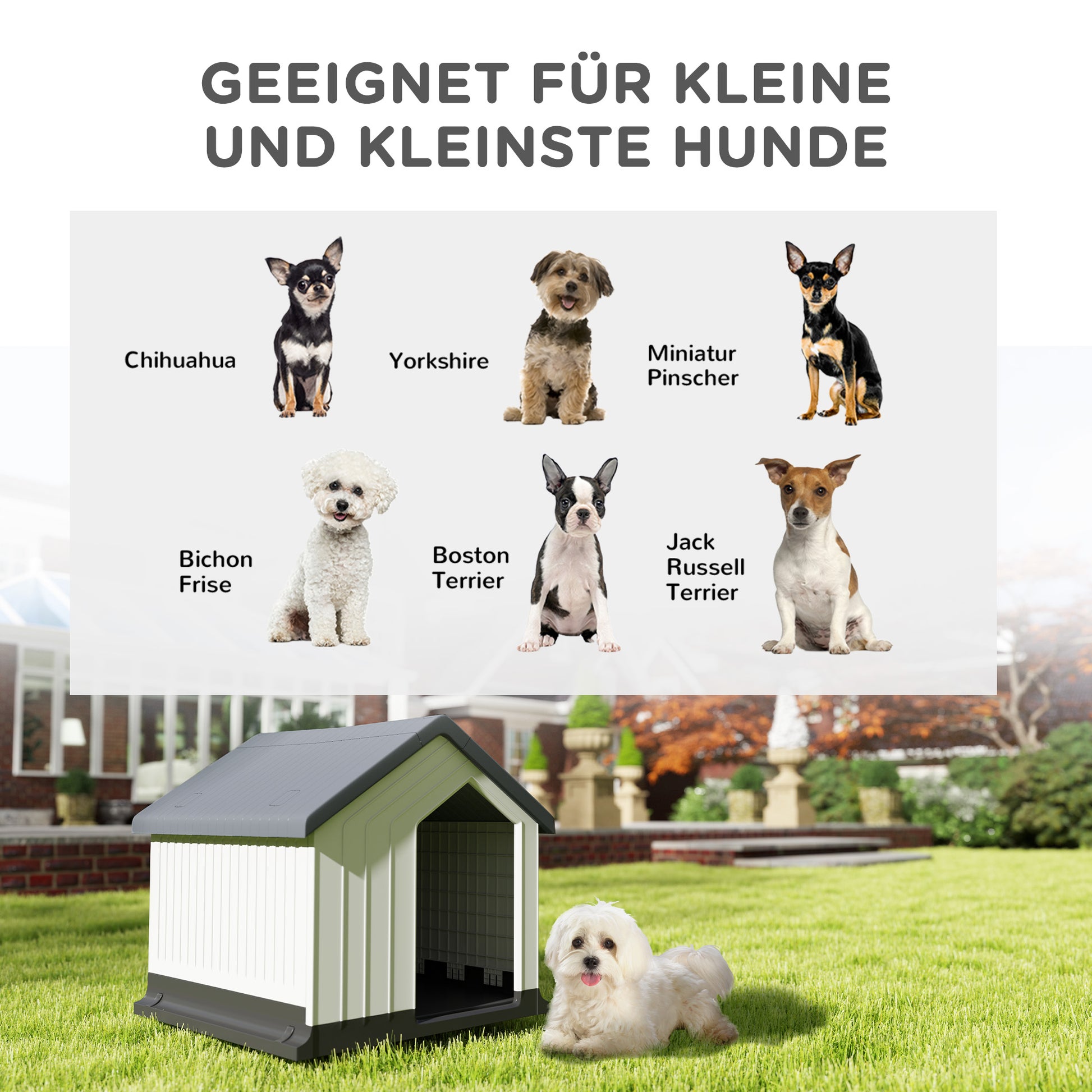 Dog House Outdoor Kennel with Asphalt Roof, Window, Weatherproof Small Pet House, Dog Cave for Mini and Small Dogs Gray 62 x 61 x 60 cm