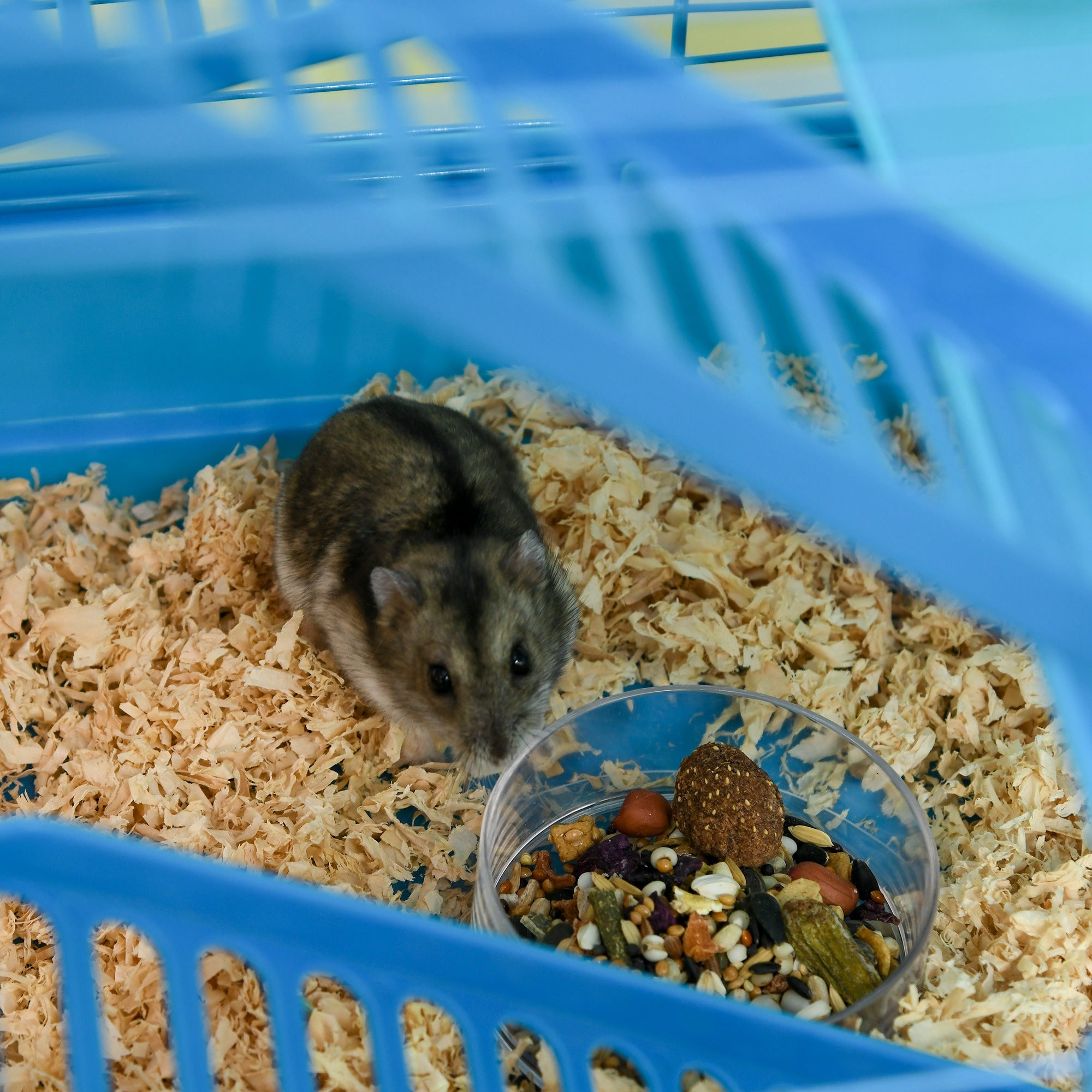 Hamster Cage Habitat for Small Animals with Multiple Levels, 4 Platforms, Food Bowl, Water Bottle, Exercise Wheel, Stairs, Tubes System 47x30x59 cm Blue