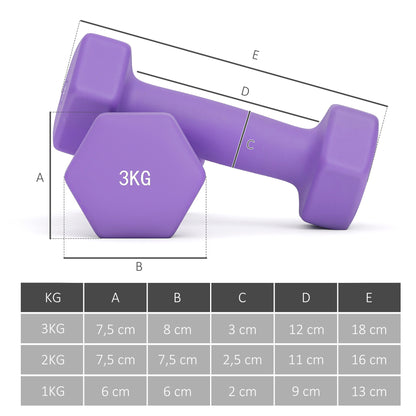 SPORTNOW Hex Dumbbell Set — 2x1/2x2/2x3 kg with Convertible Rack for Home Training