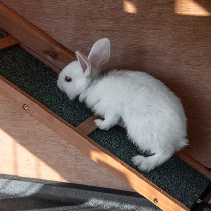 2-Level Wooden Rabbit Hutch with Wheels, Rabbit and Guinea Pig House with Removable Tray and Ramp, Orange, 122x50x101cm