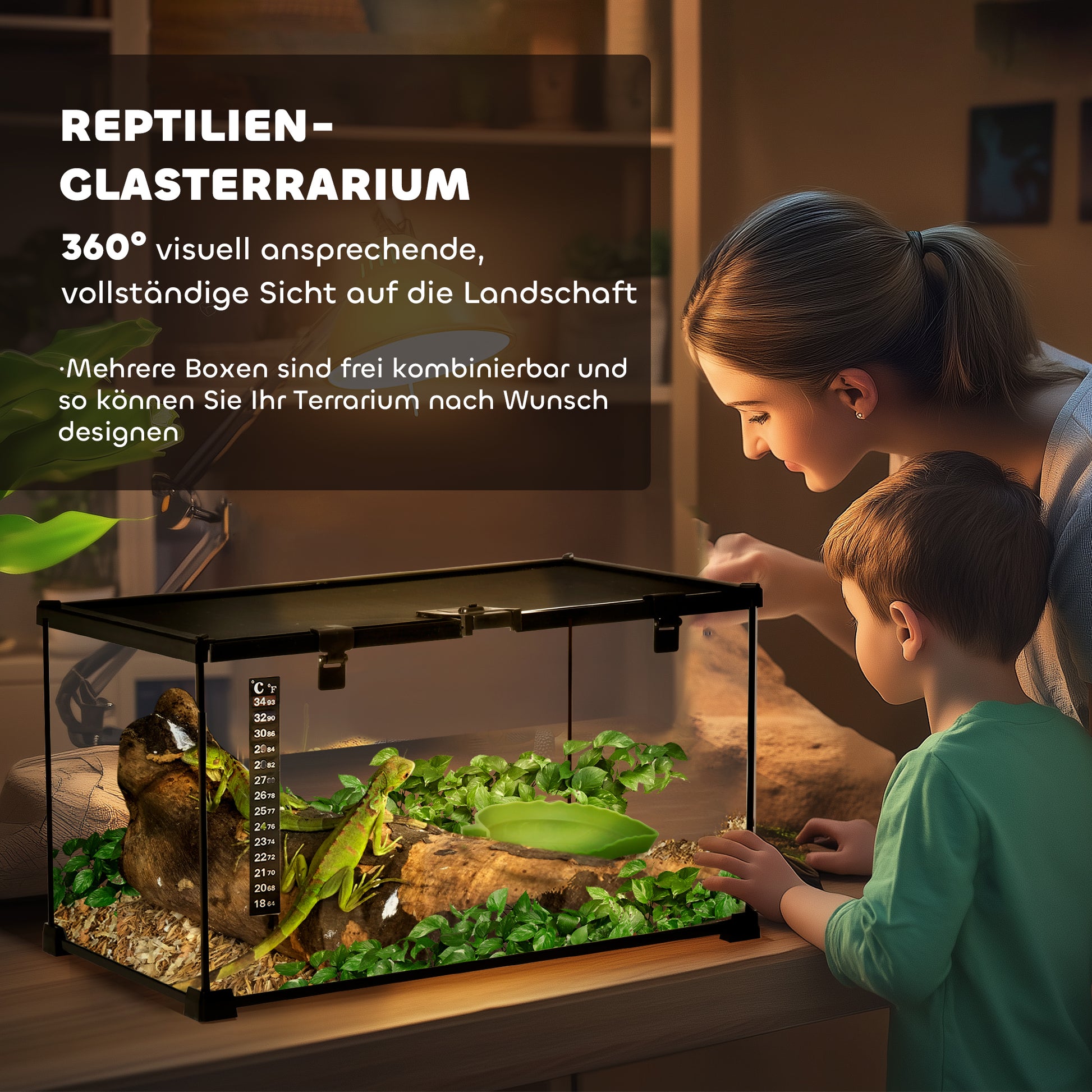 Terrarium for Reptiles Reptile Feeding Box Glass Terrarium Amphibians Arachnids with Thermometer Reptile Breeding Box Metal Black 50 x 30 x 25 cm