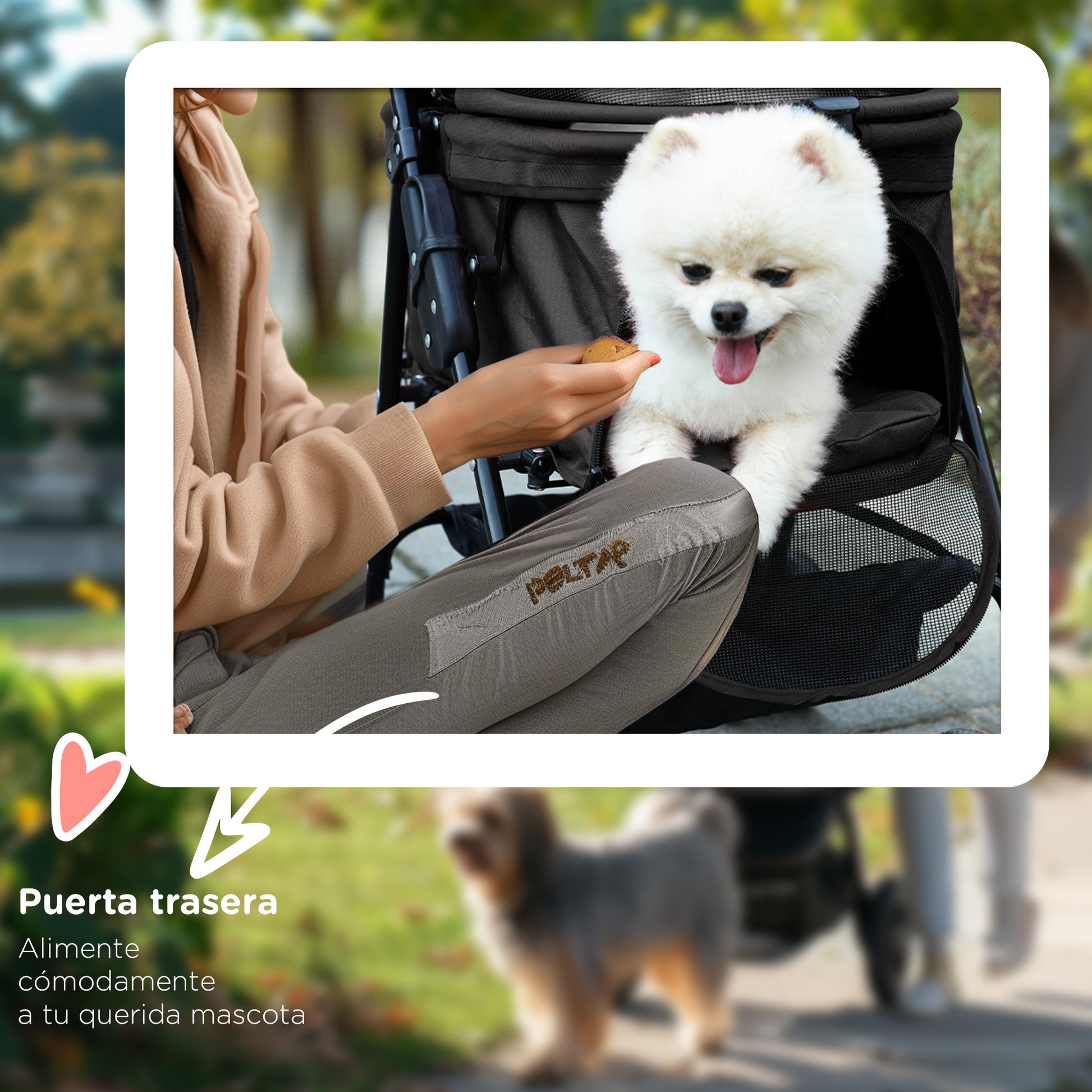 Foldable Pet Stroller for Small Dogs with Universal Wheels Storage Basket Safety Straps and Window Capacity 15 kg 67x45x96 cm Black