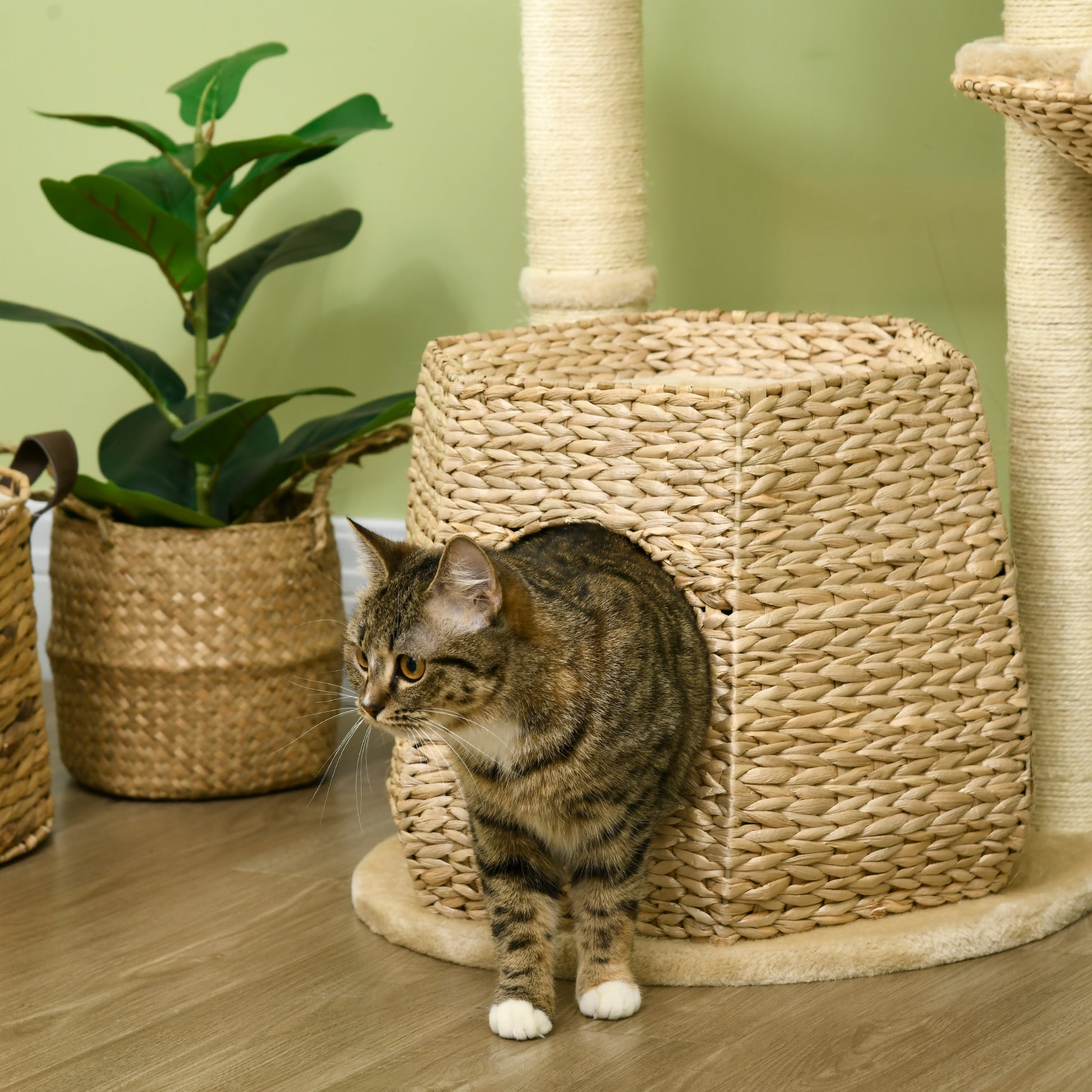 Cat Tree Climbing Scratcher for Cat 119 cm Height Reinforced Columns with Hiding Spot Hammock 2 Hanging Balls