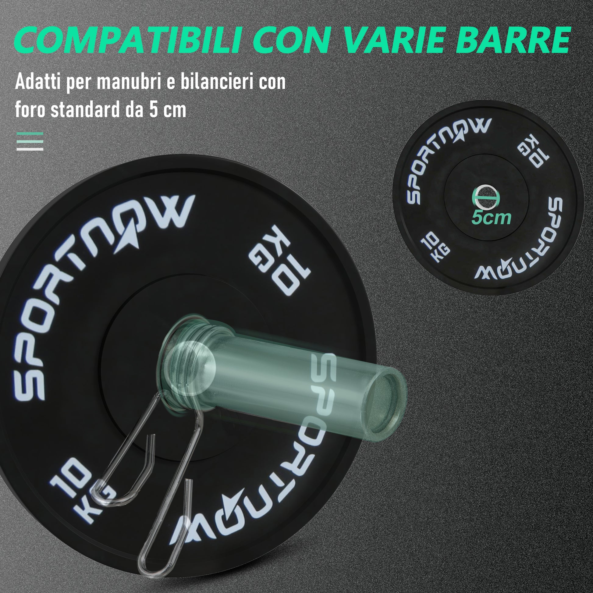 SPORTNOW Set of 2 10 kg Gym Plates, Plates for Barbell and Dumbbells with Ø5 cm Attachment for Home and Gym Training, Black