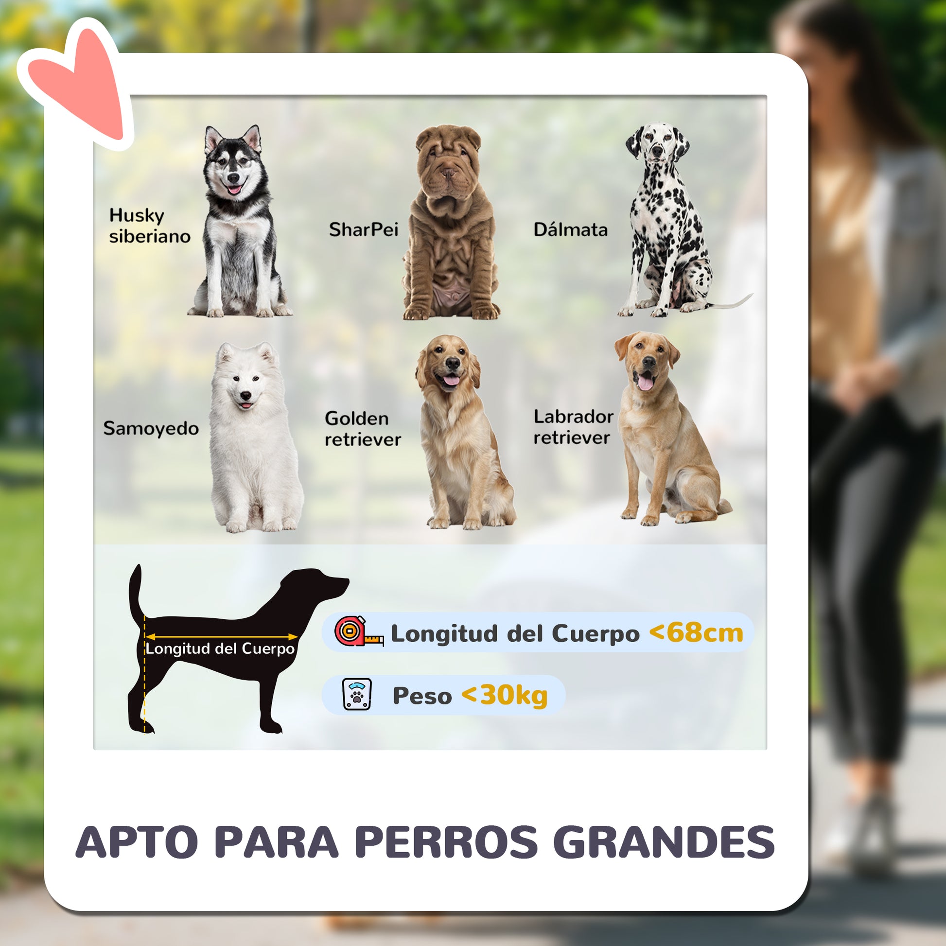 Dog Stroller Folding Stroller for Large Dogs up to 30 kg with Large Wheels Safety Straps Shock Absorber Washable Cushion 124x67x100 cm Blue